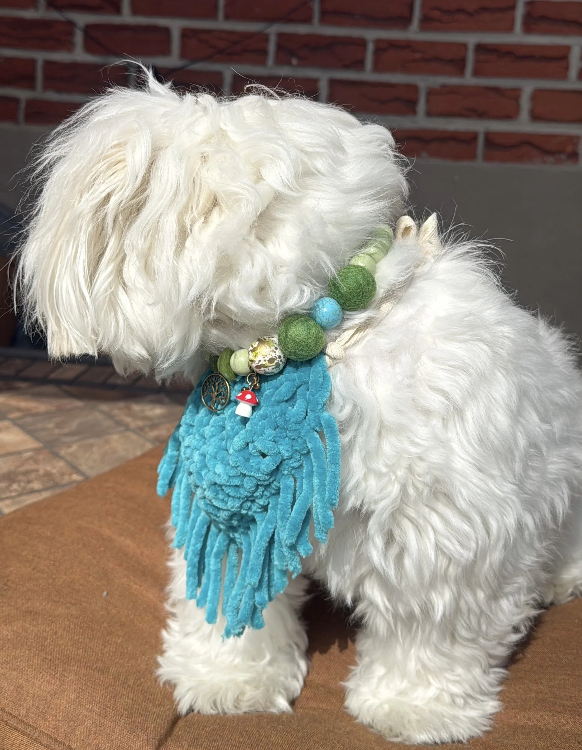 Moss Magic Pet Necklace