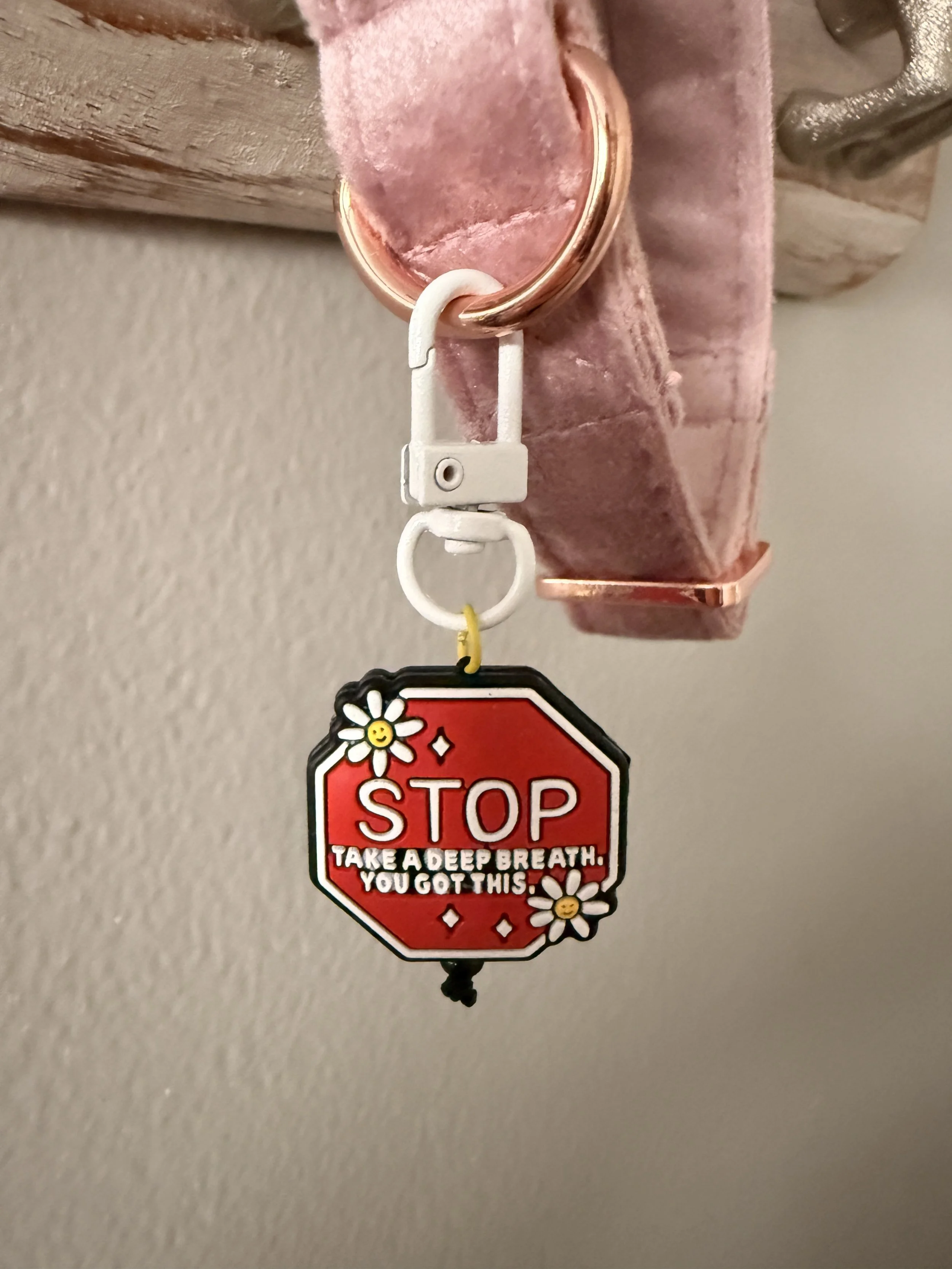 You Got This Pet Collar Charm