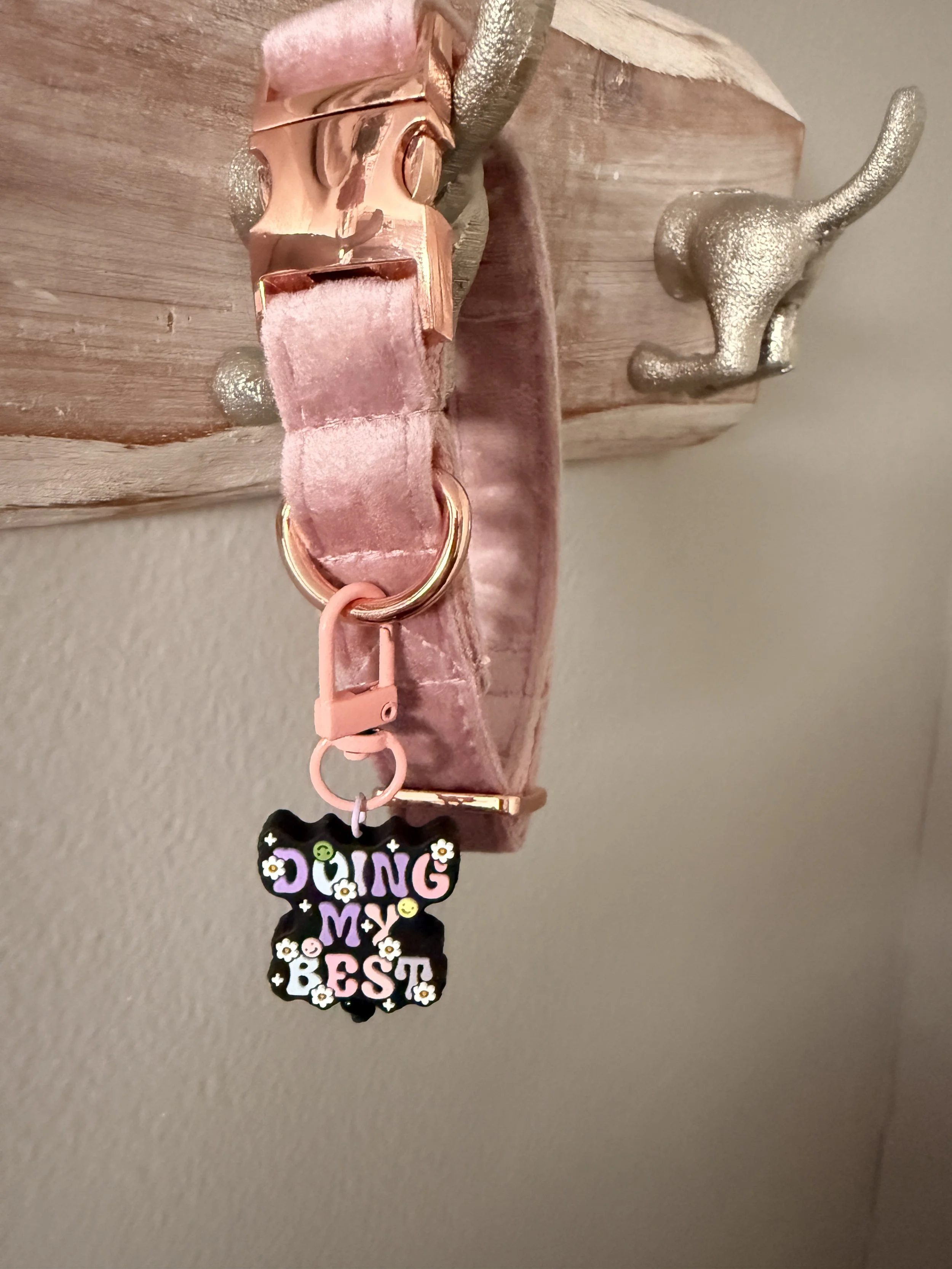 Doing My Best Pet Collar Charm2.JPG