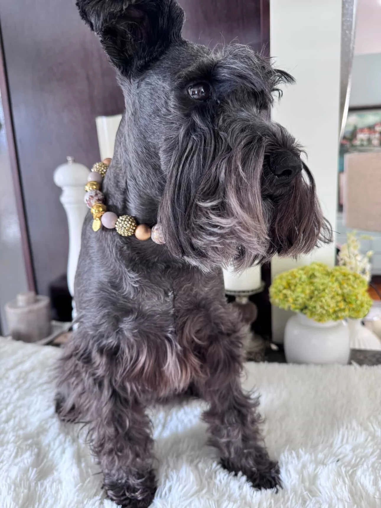 Gilded Paws  Pet Necklace5.JPG