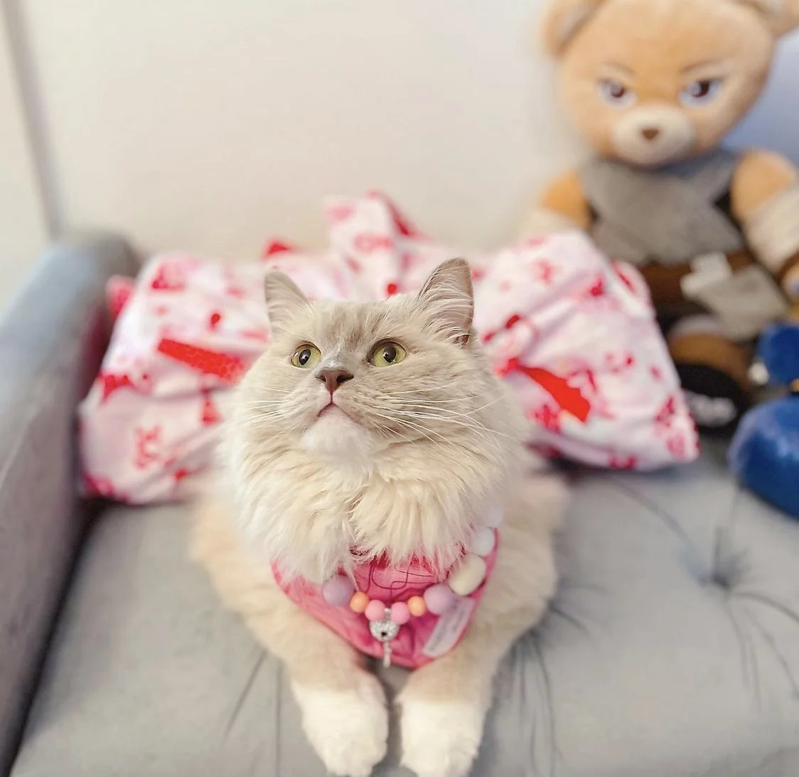 Isy-and-Cris-Pet-Model-27.jpg