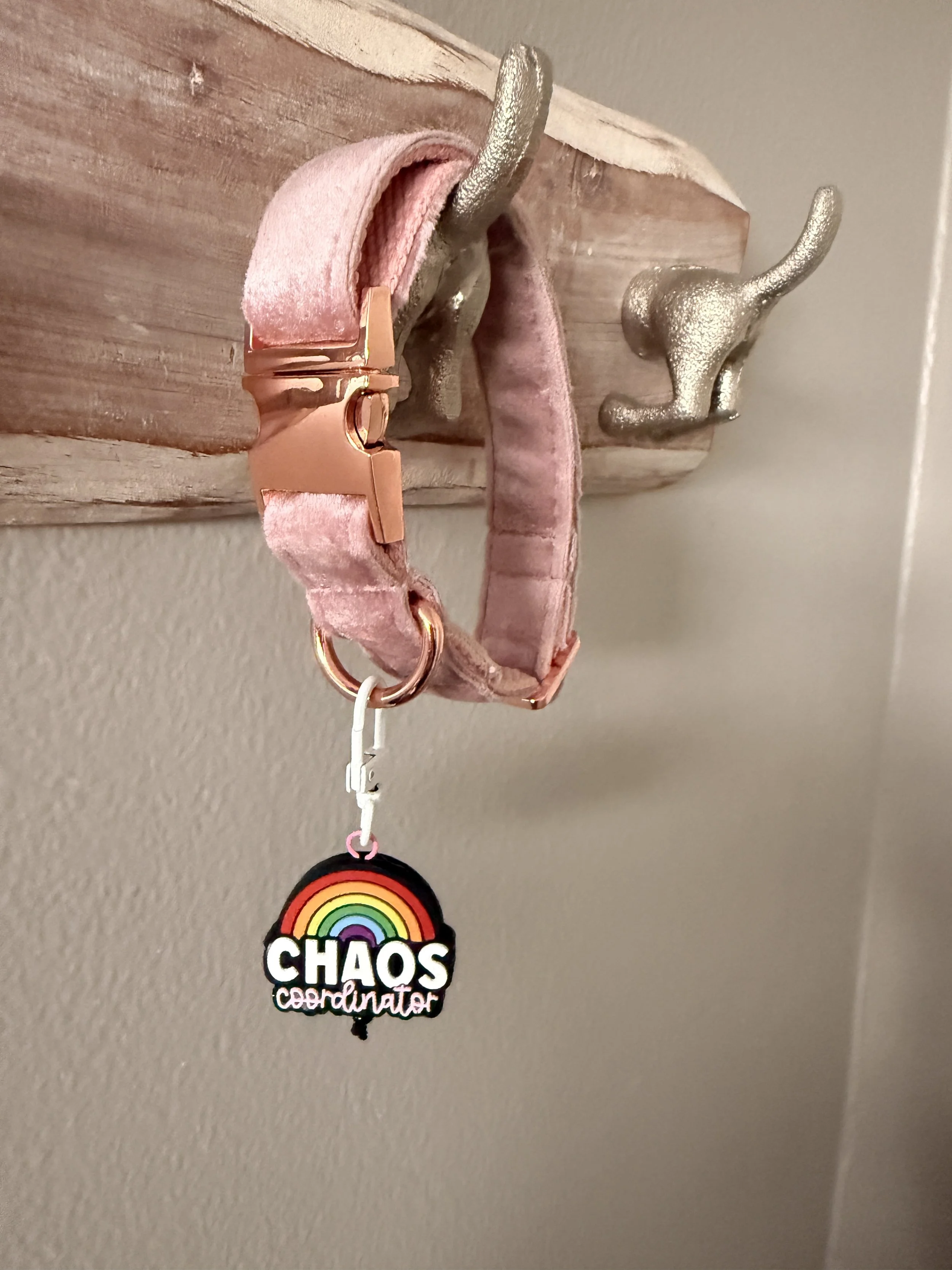 Rainbow Chaos Coordinator Collar Charm2.JPG