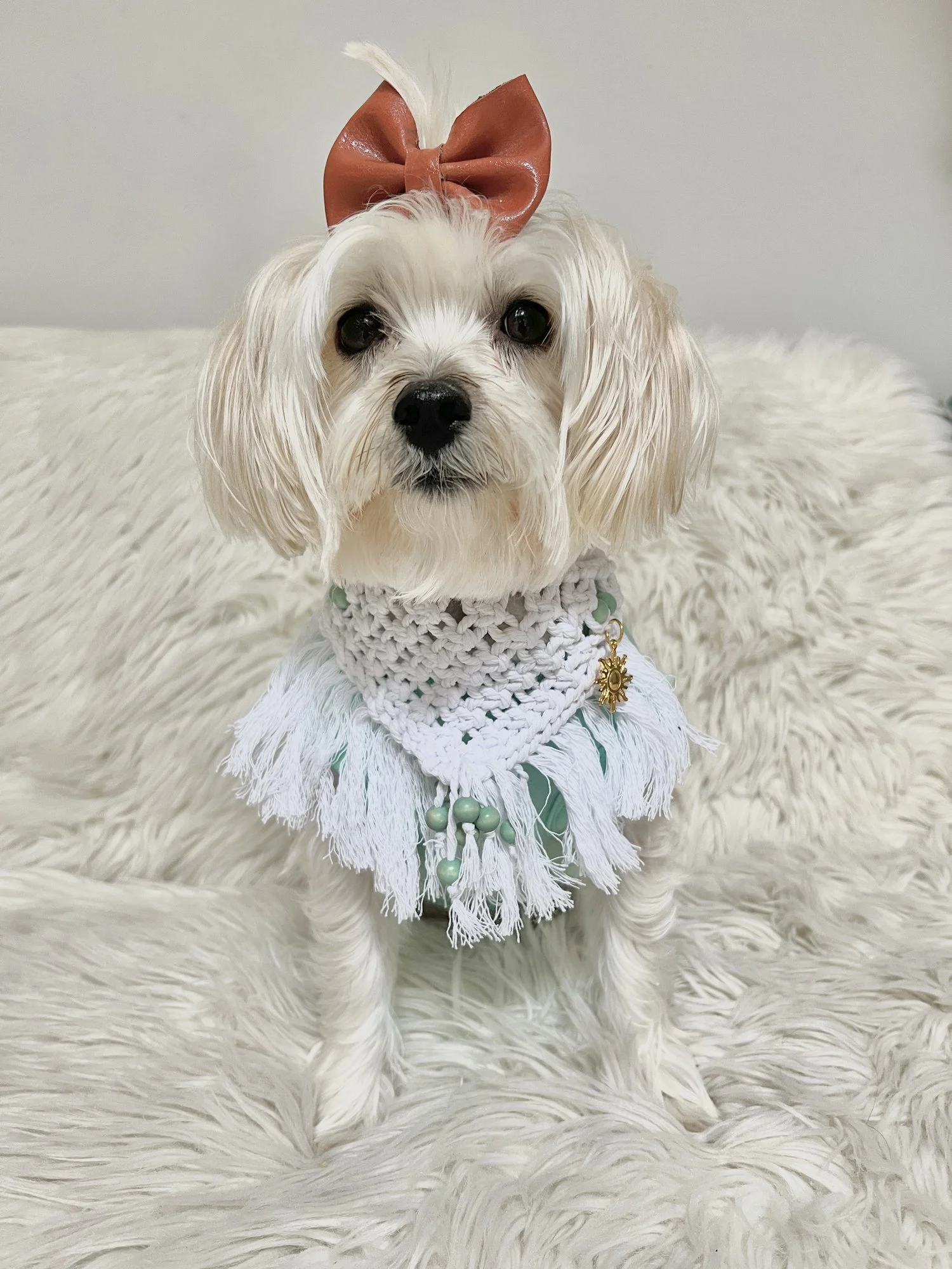 Sun Charm Macrame Dog Bandana by IsyandCris.com