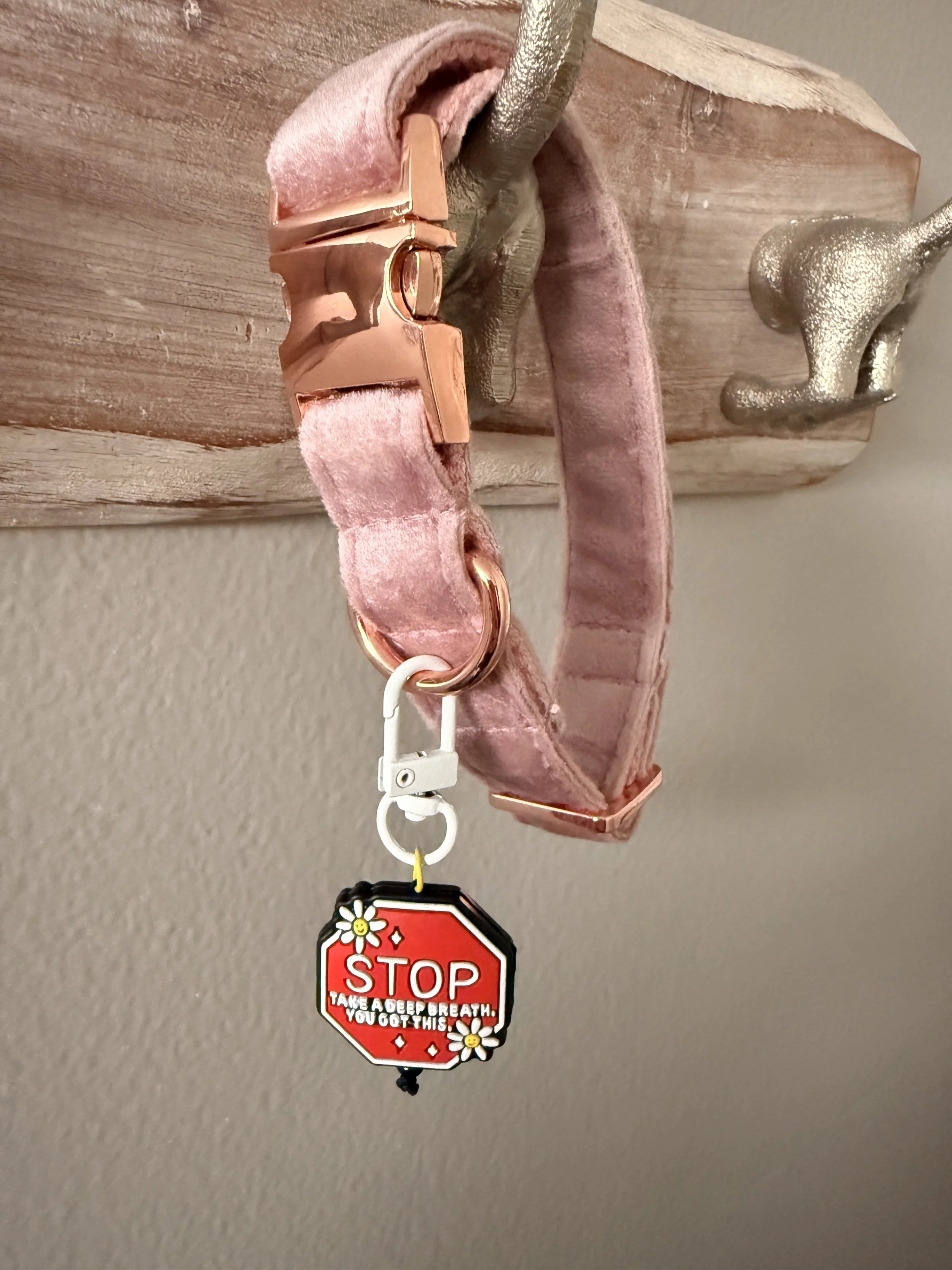 You Got This Pet Collar Charm1.JPG