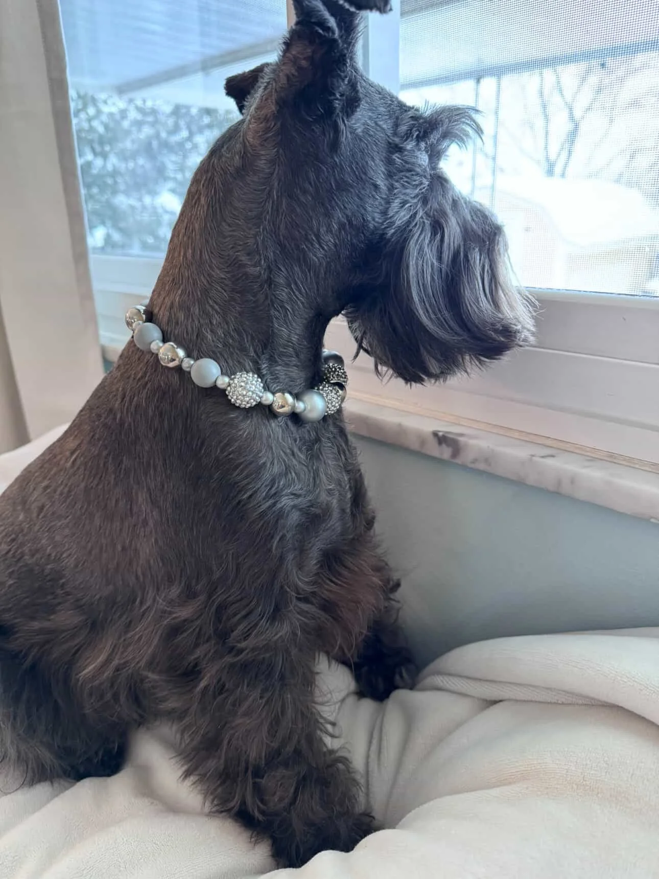 Moonlit Paws Pet Necklace4.JPG