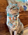 SantaFeChunkyPetNecklace4.png
