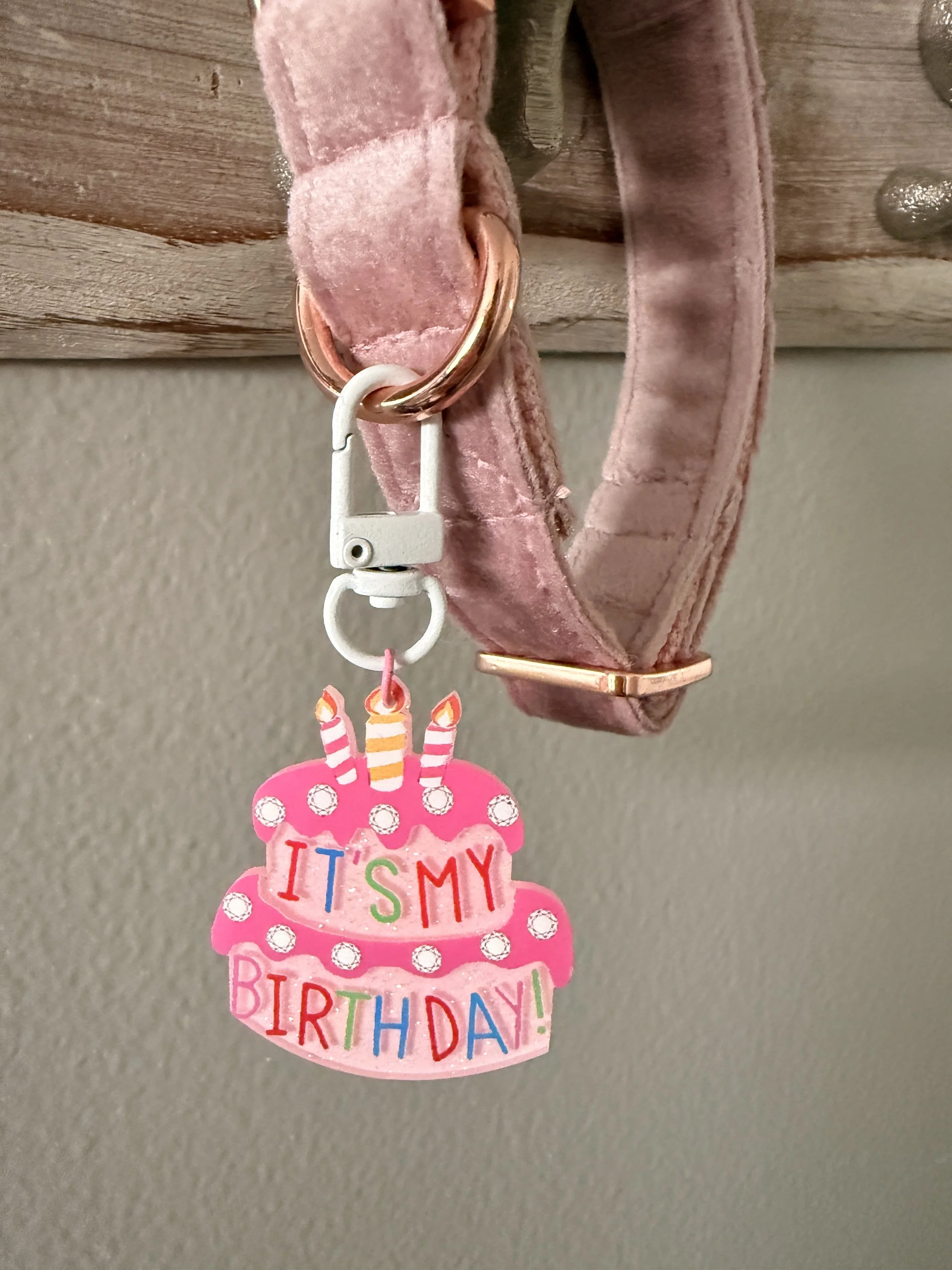 Pink Birthday Cake Pet Collar Charm1.JPG