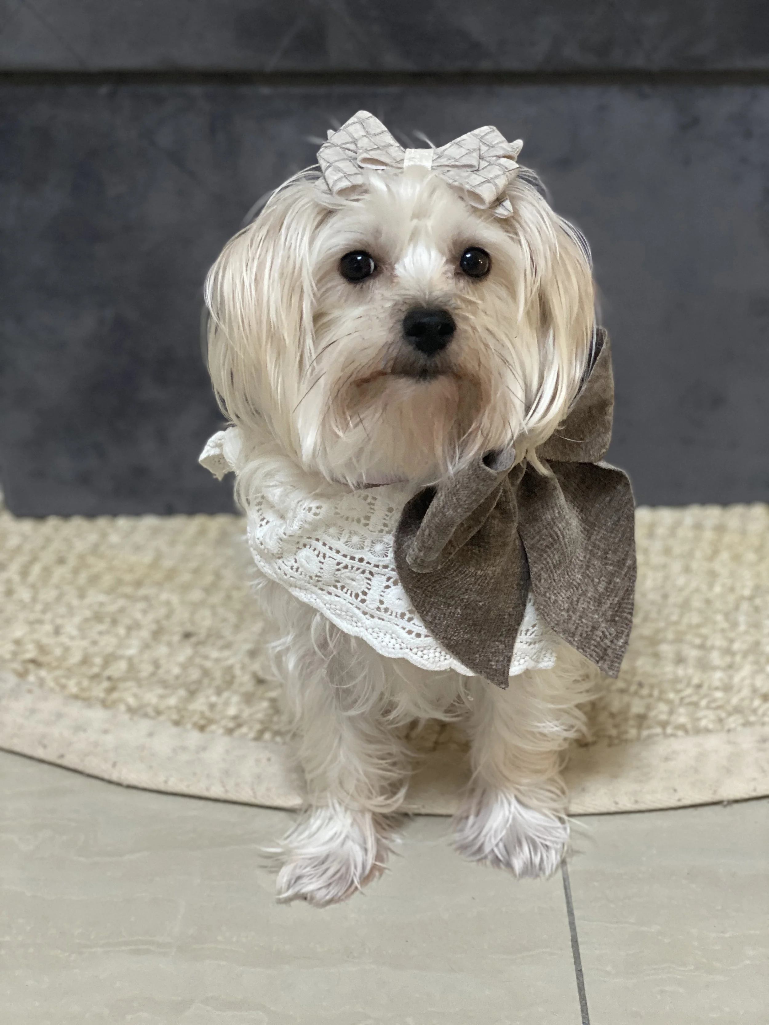 Isy-and-Cris-Pet-Model-17.JPG