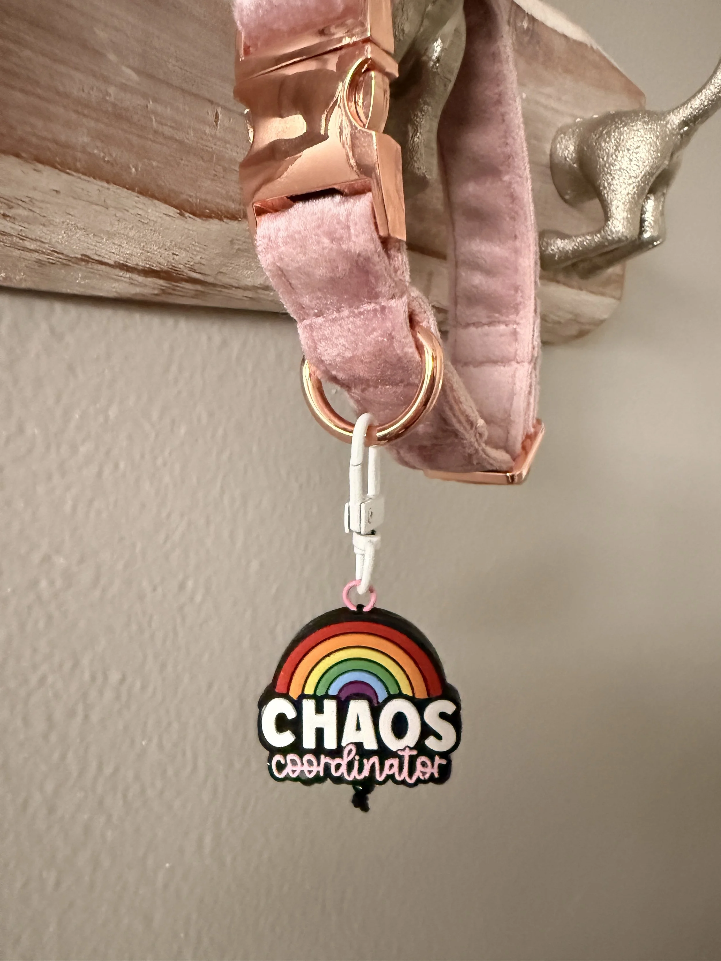 Rainbow Chaos Coordinator Collar Charm1.JPG