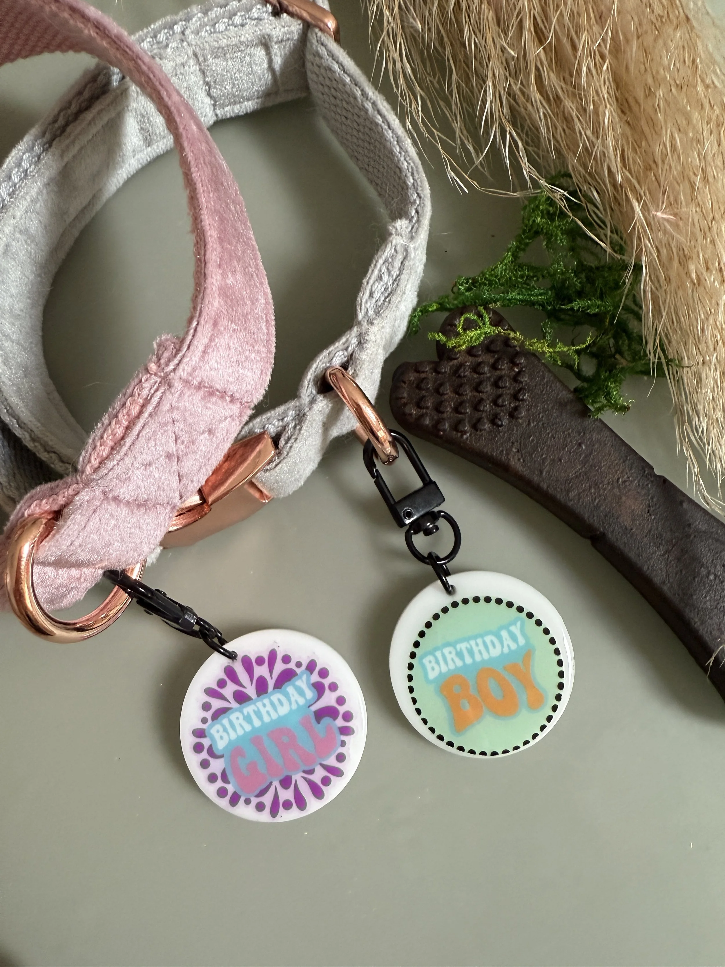 Birthday Pet Collar Charms