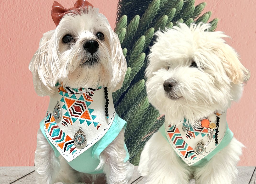 Dog photoshoot by Isy and Cris in a SouthWestern Country Theme