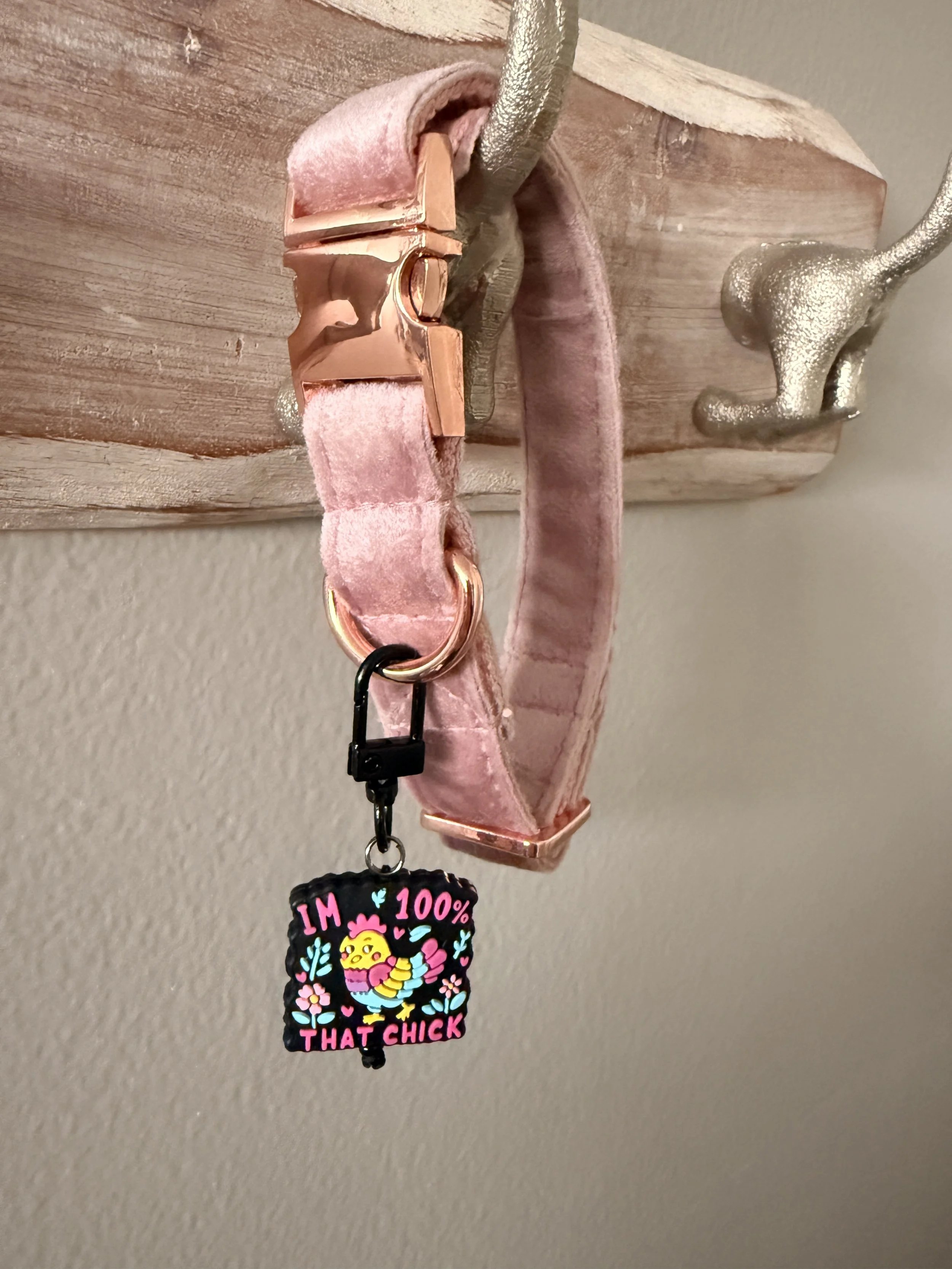 That Chick Pet Collar Charm2.JPG