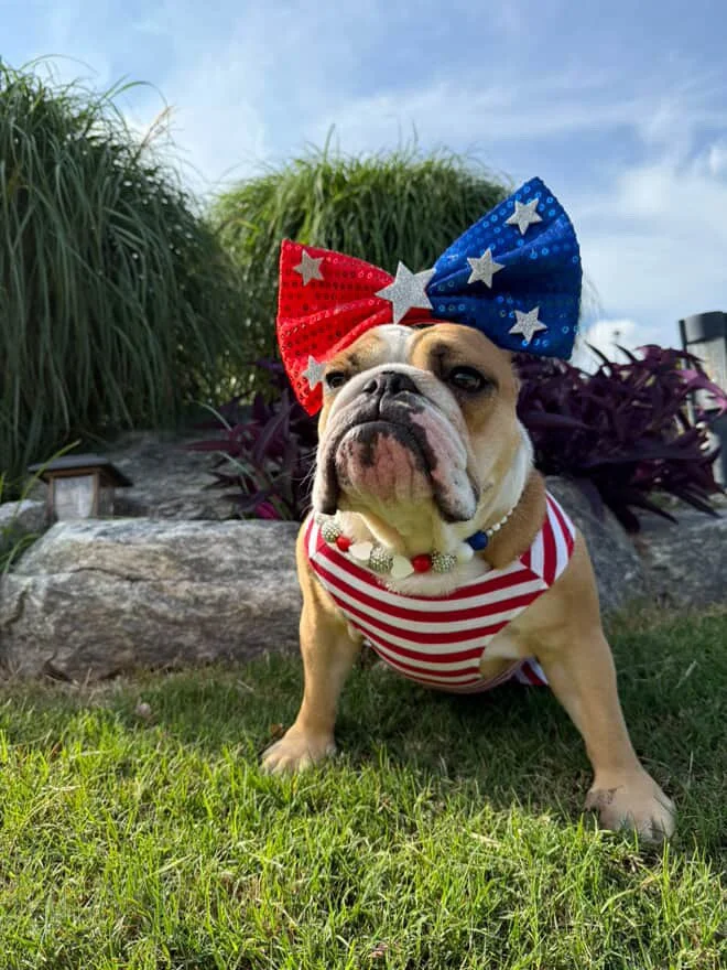 USAProudPetNecklace3.JPG