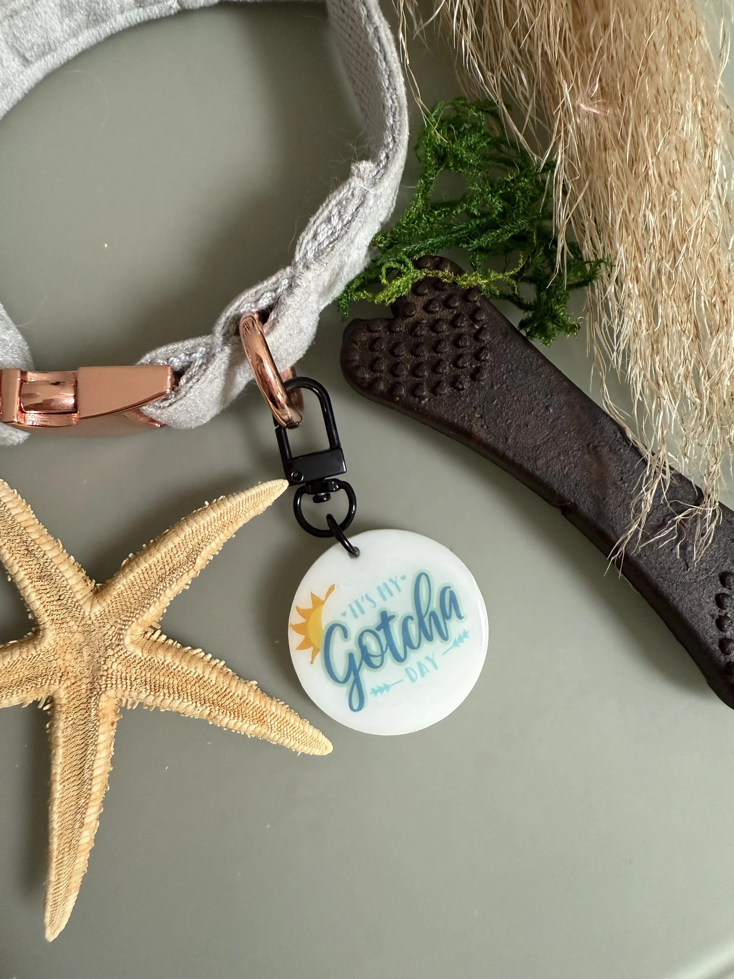 Gotcha Day Pet Collar Charm