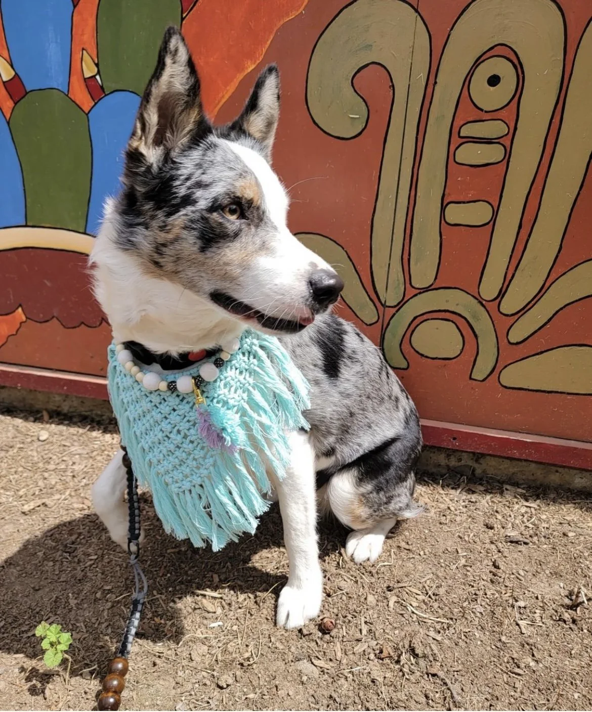 Blue Macrame Dog Bandana by IsyandCris.com