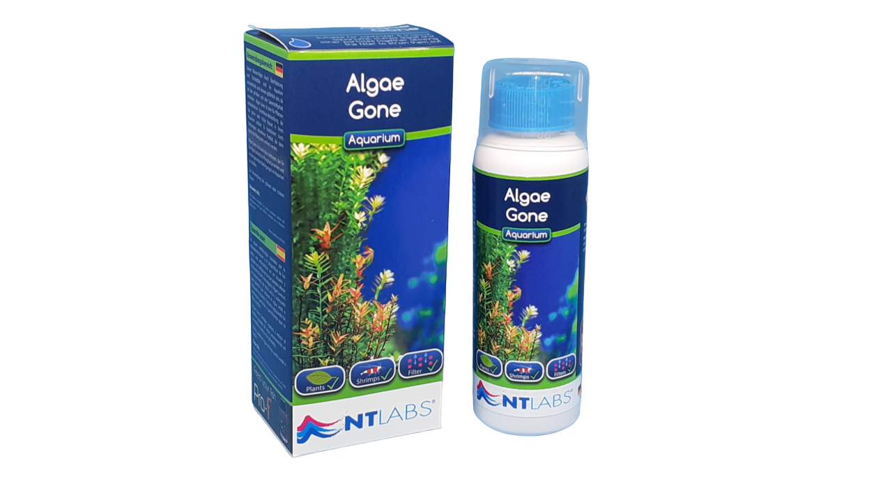 algae gone-PhotoRoom.png-PhotoRoom.png