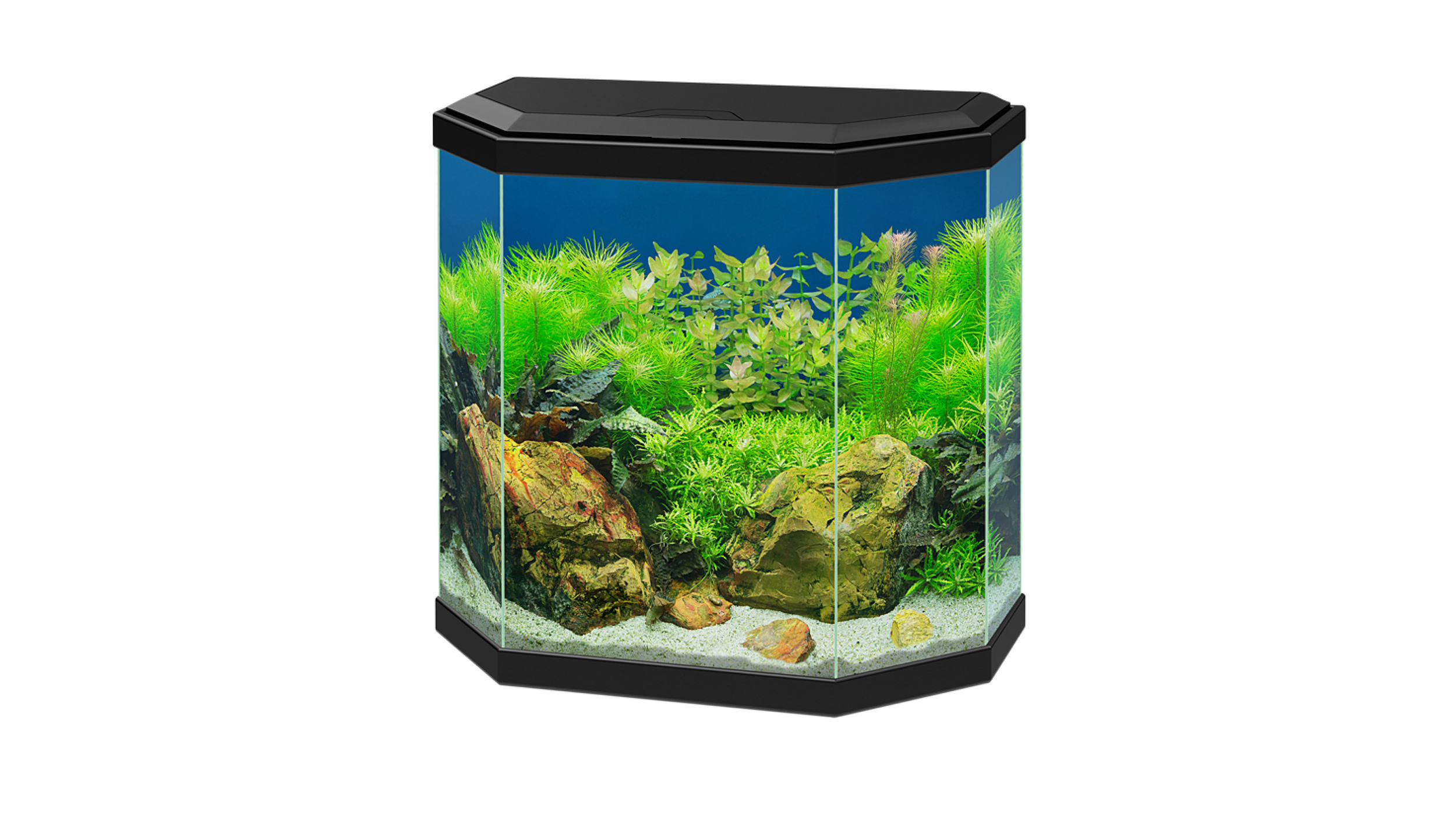 Betta Choice Acrylic Cylinder Aquarium 15 litres white