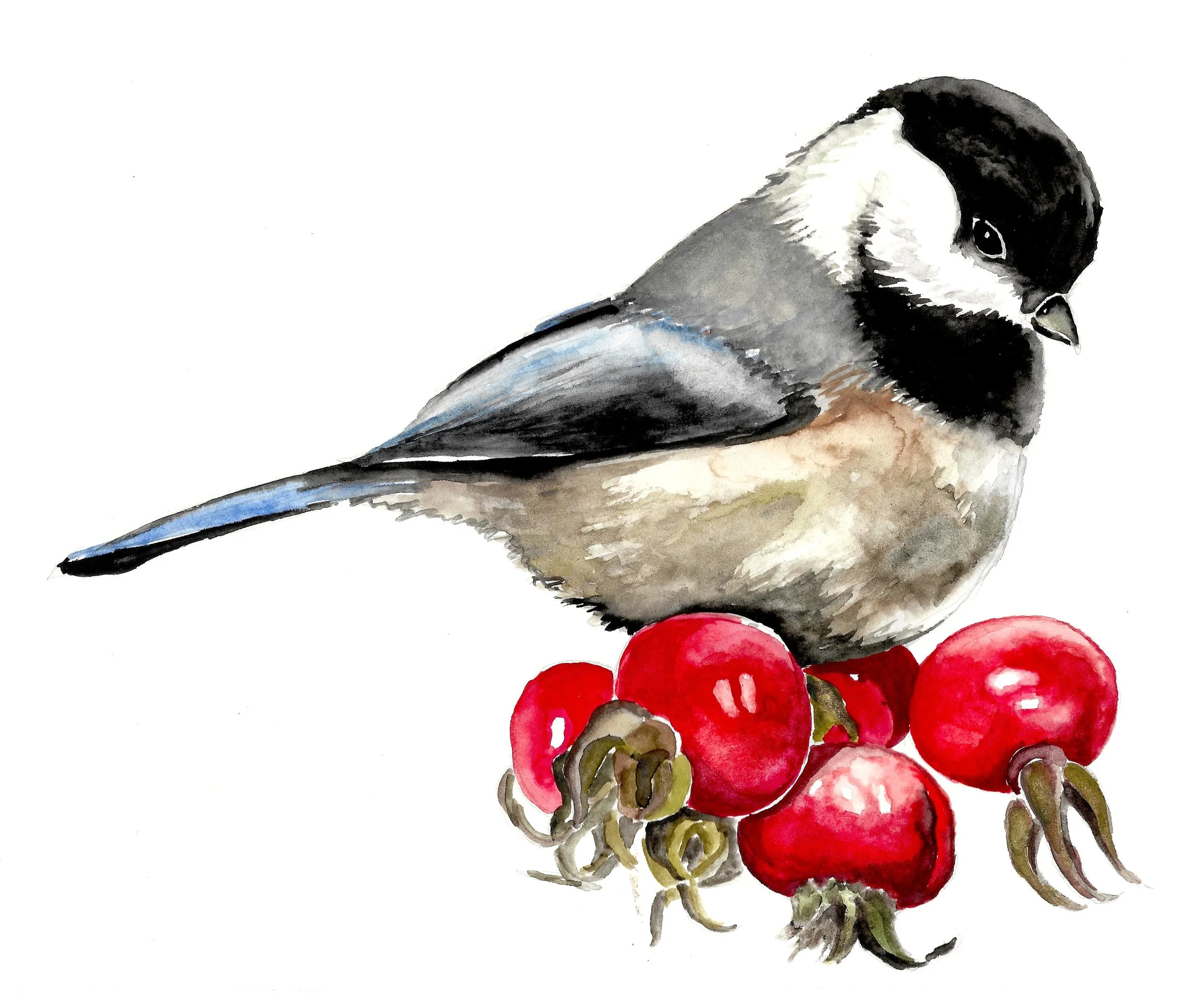 chickadee painted.jpeg