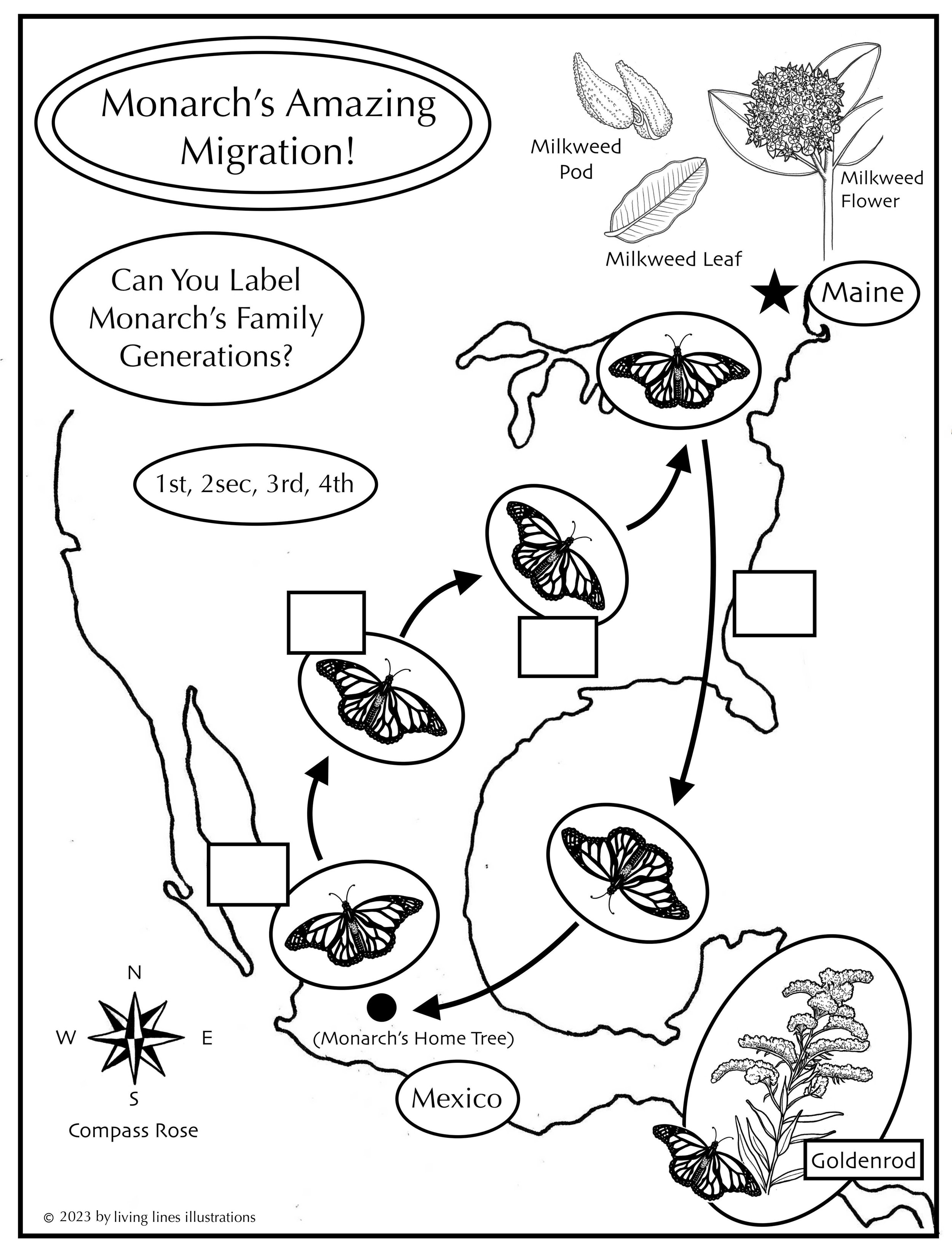 Monarch Migration page.jpg
