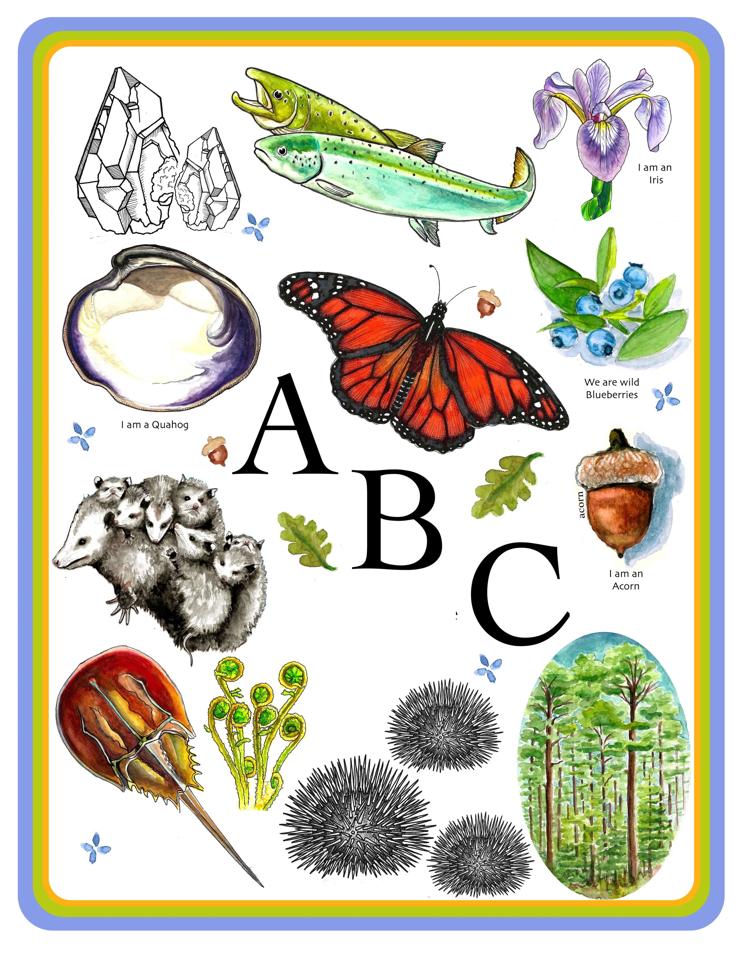 ABC Title page.jpg