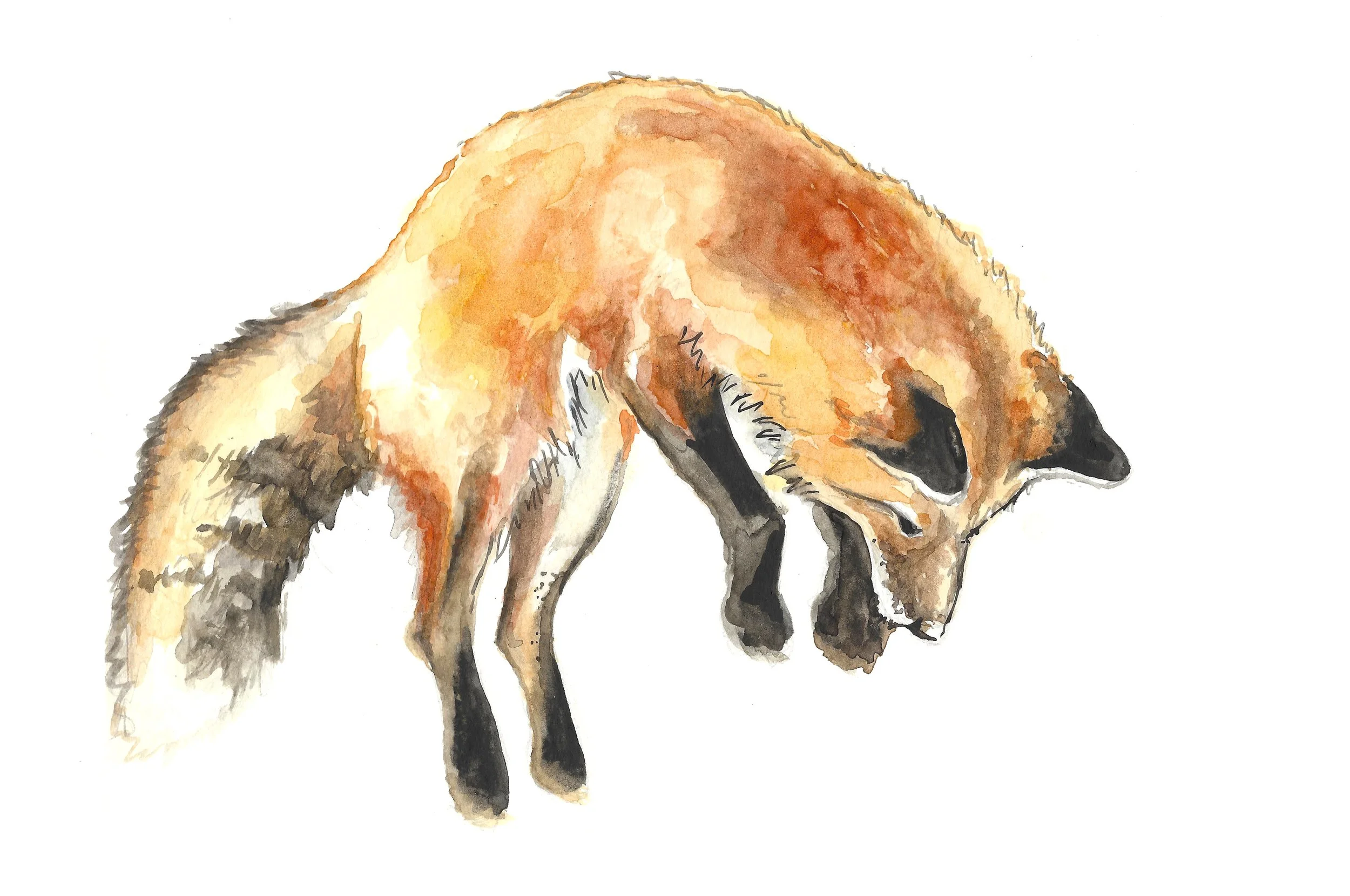 fox garland.jpeg