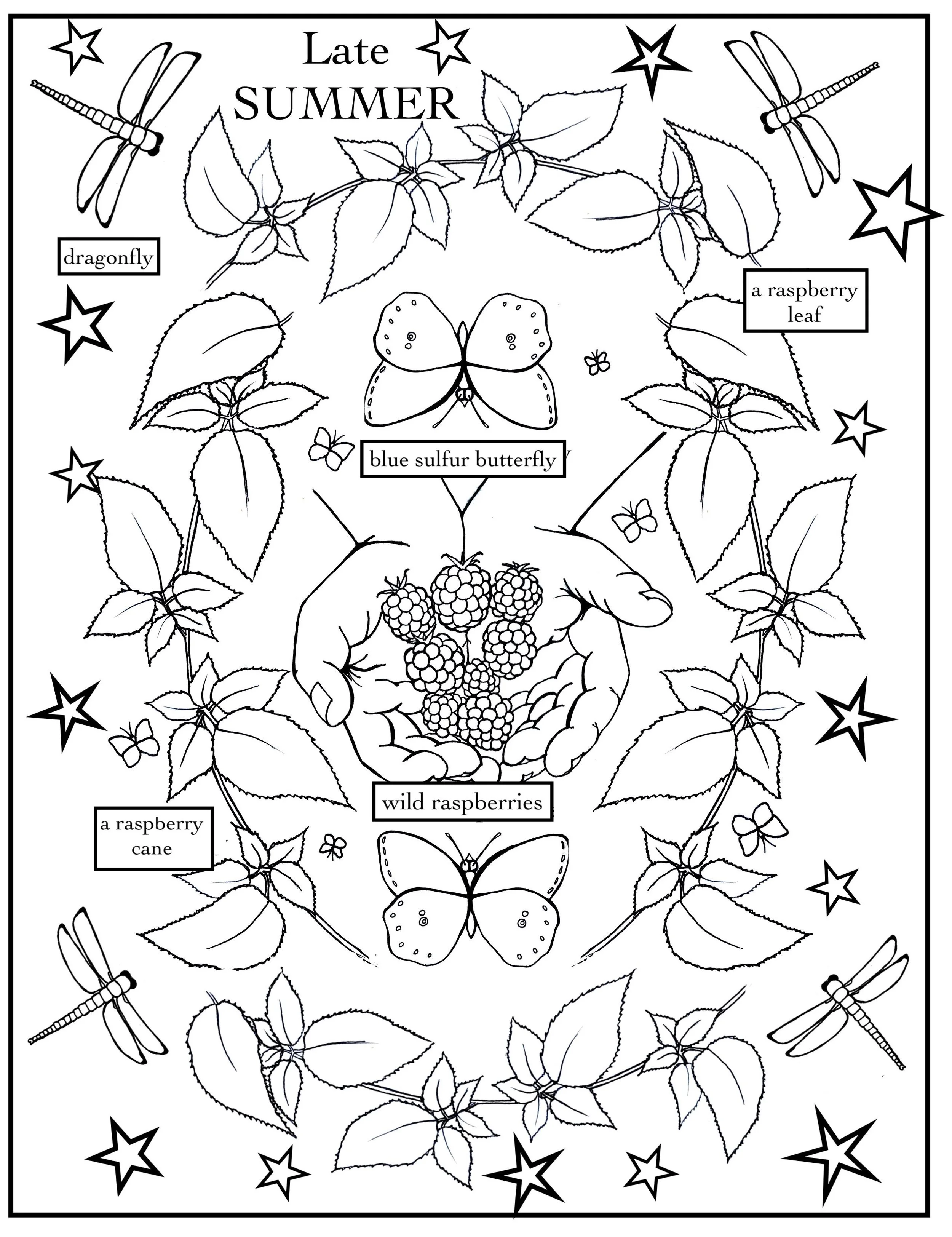 coloring page - late summer.jpg