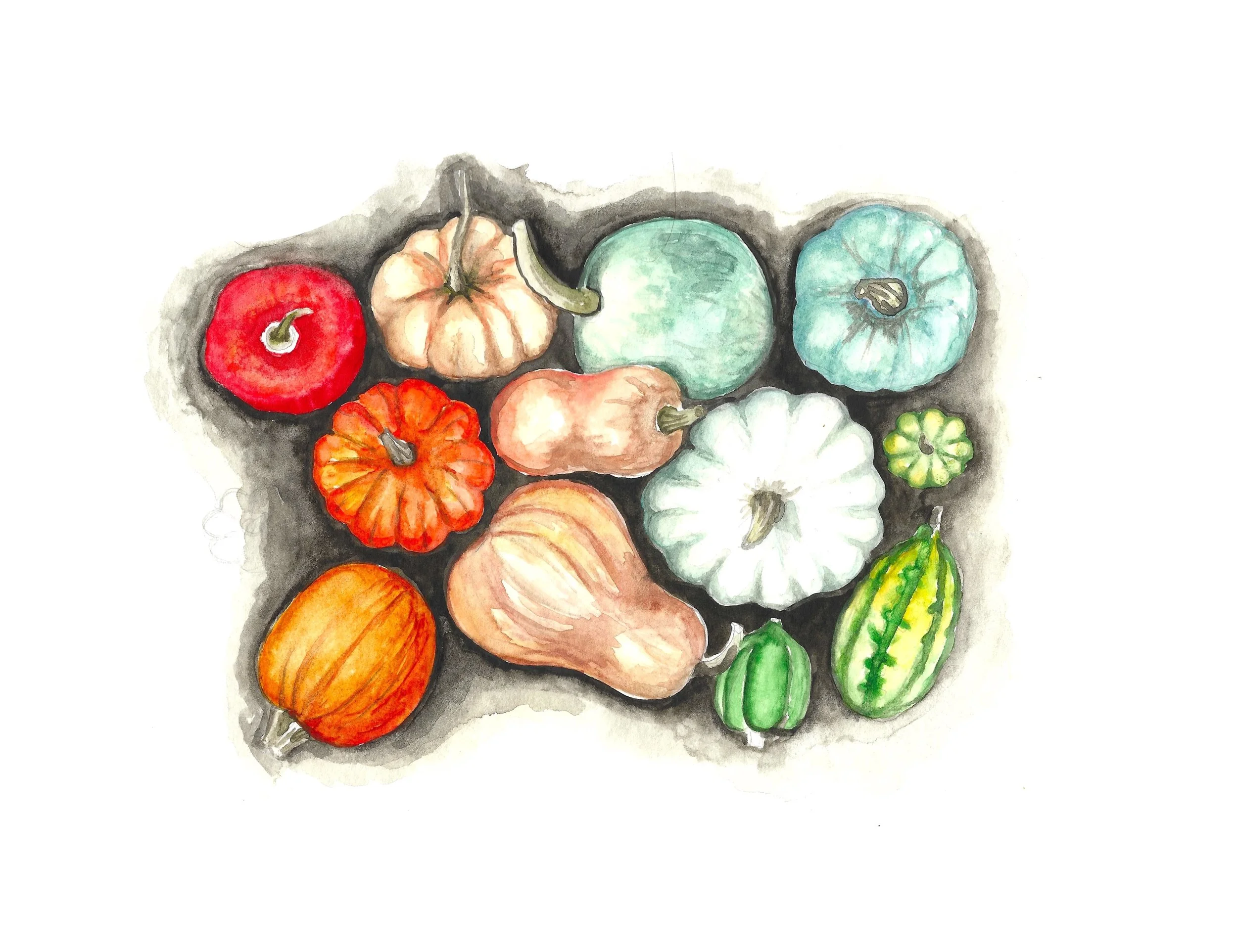 winter squash copy.jpeg