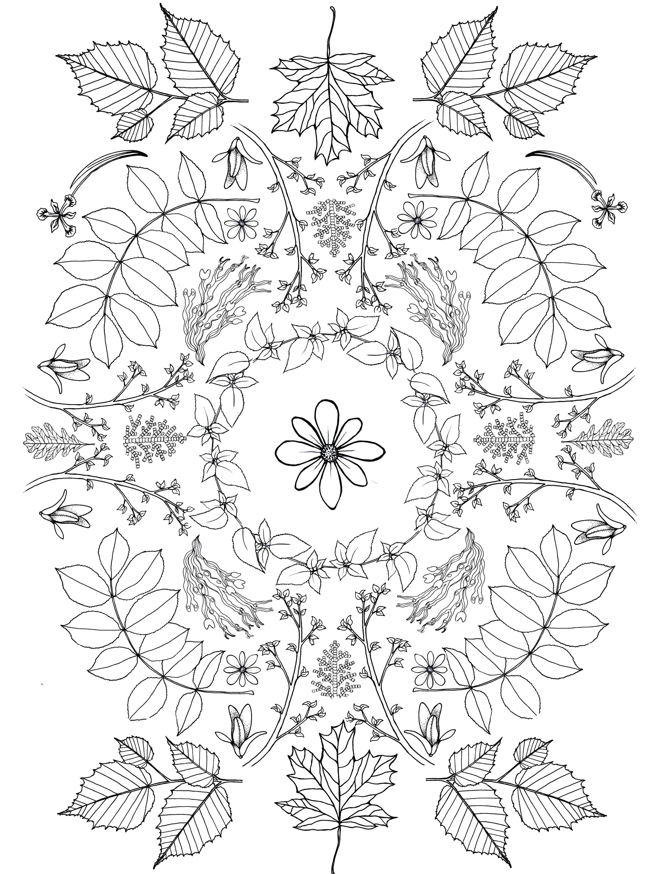 coloring- very last page .jpg