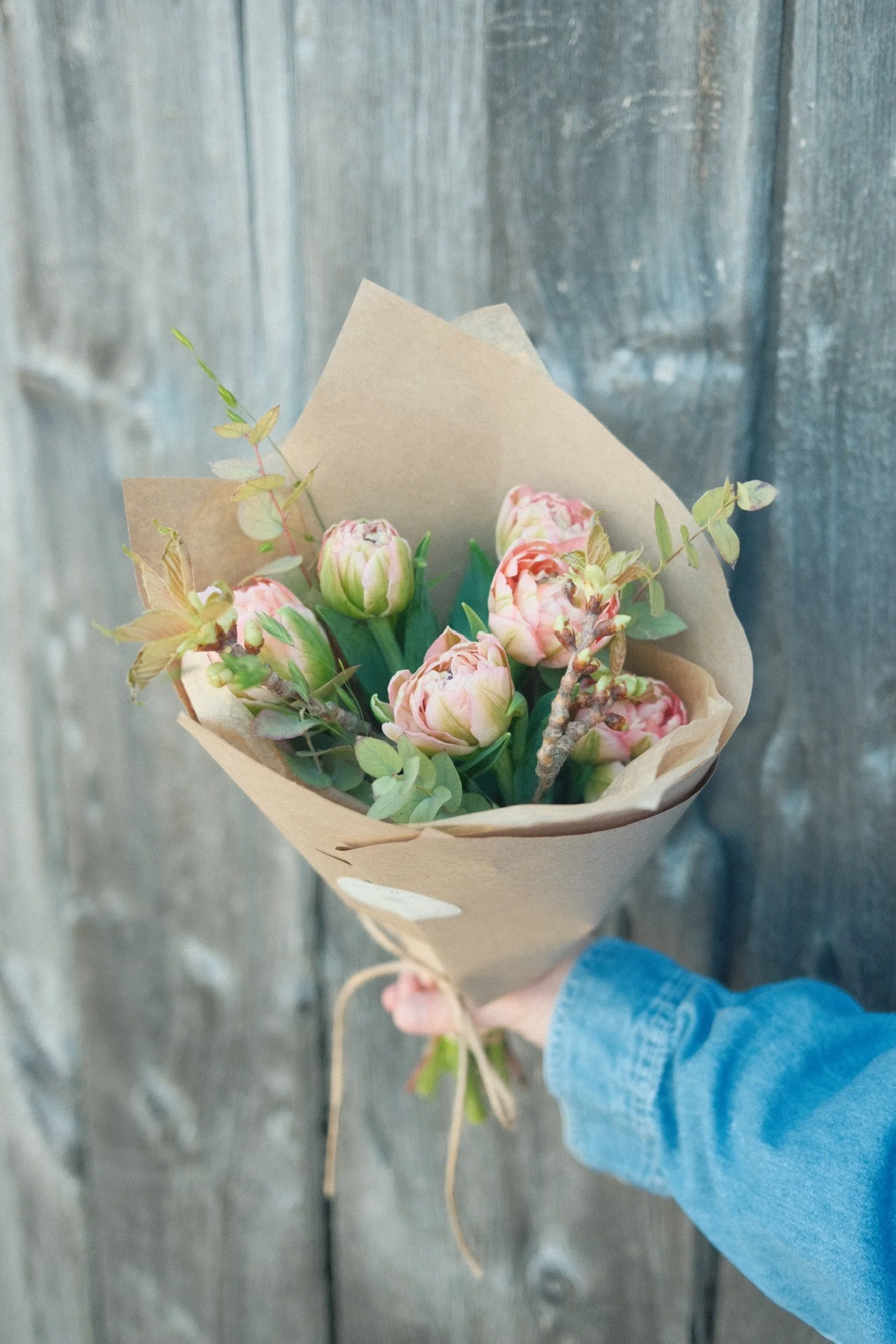 Tulips