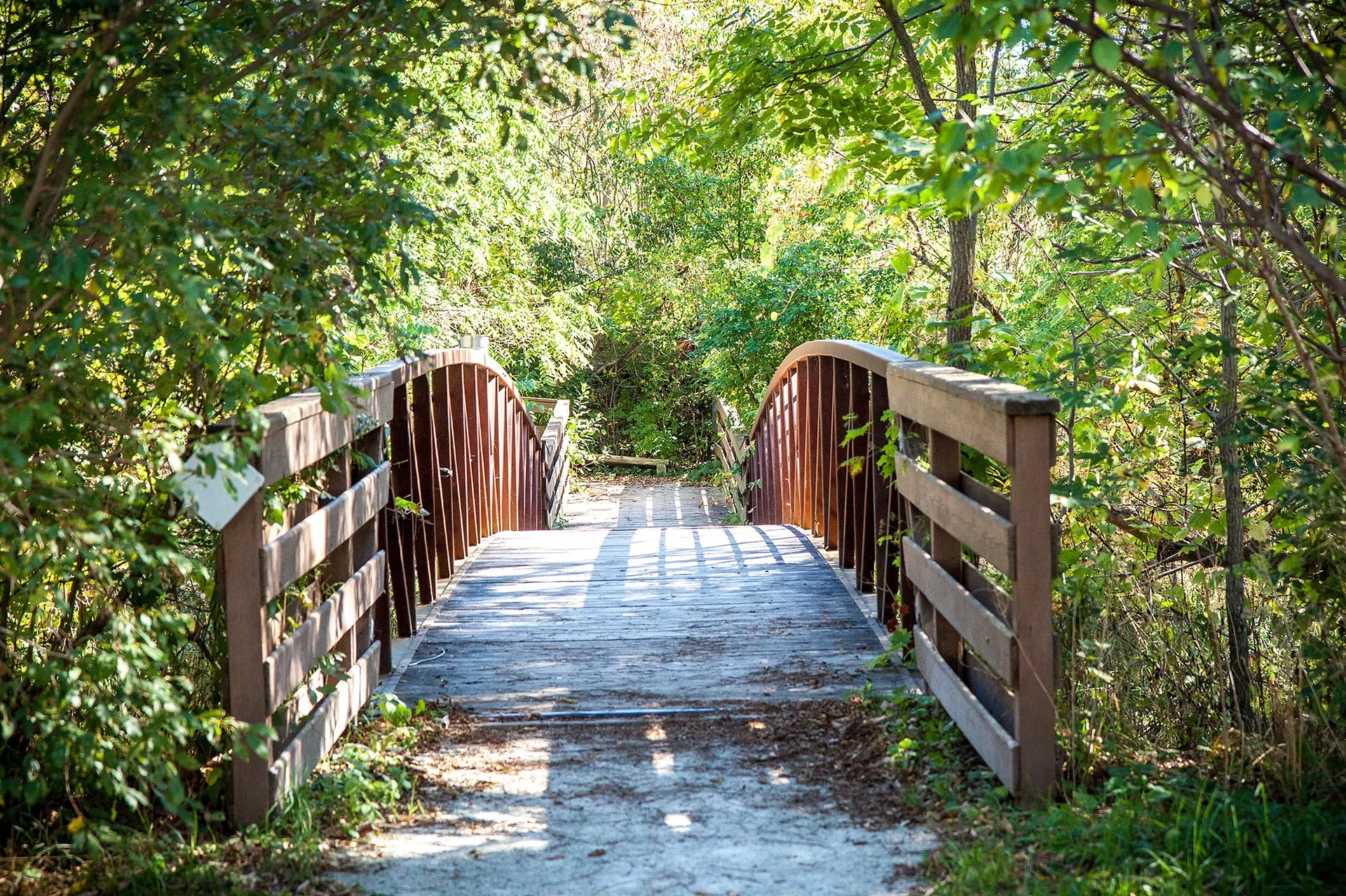 Keep it Smart: Trails and Signs