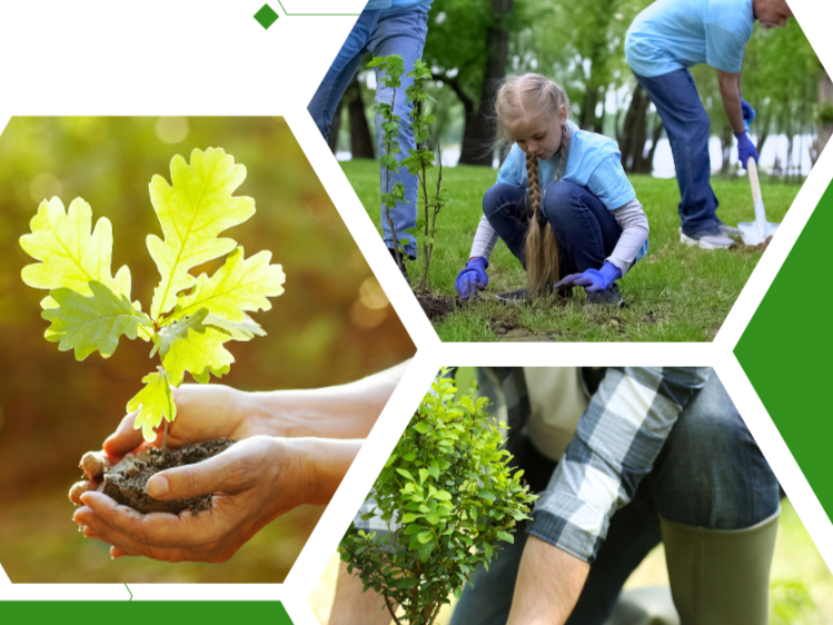 Tree Planting Event