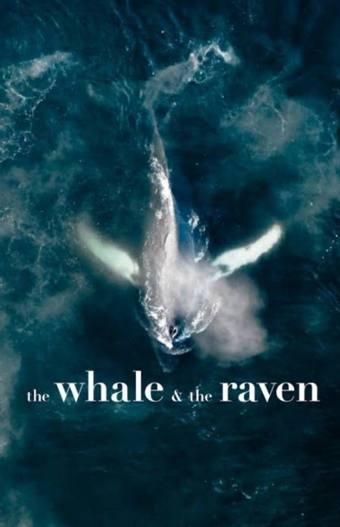 The Whale and the Raven Film Screening