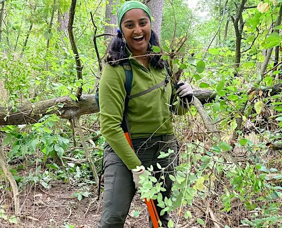 Acton Invasive Plant Removal
