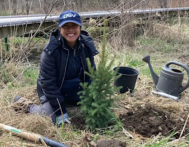 Hungry Hollow Tree Planting