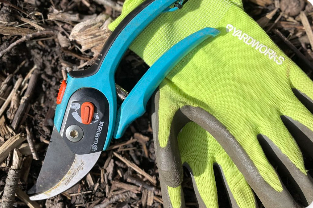 Caring For Your Yard