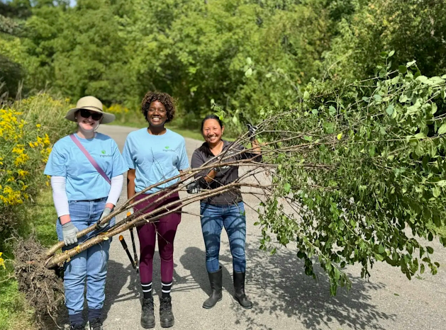 Acton Invasive Plant Removal