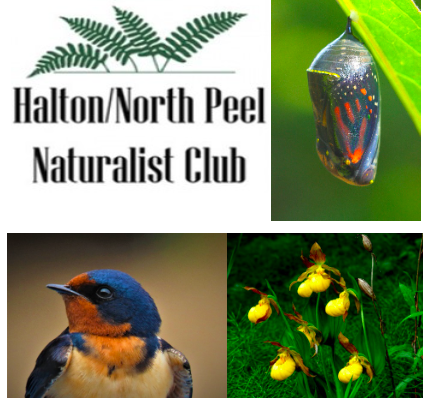 The Halton/North Peel Naturalist Club is turning 60!
