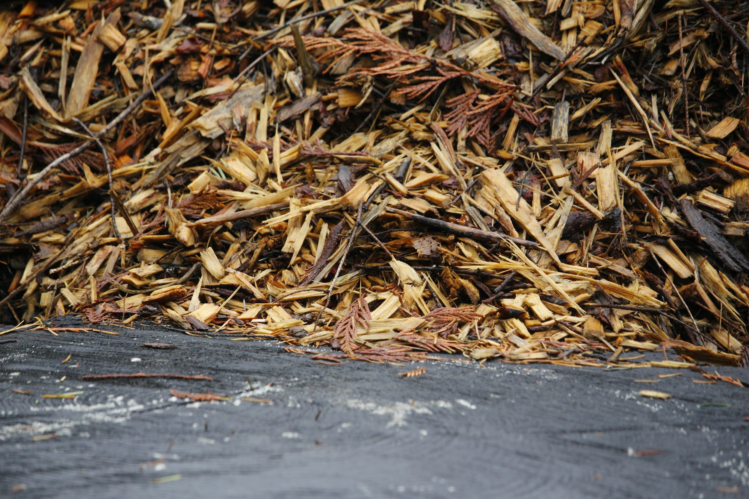 Compost/Mulch Giveaway