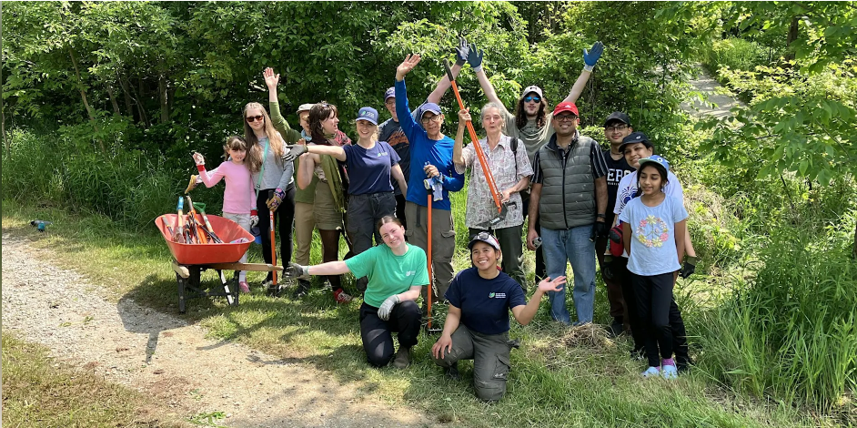Glen Williams Park Invasive Plant Removal