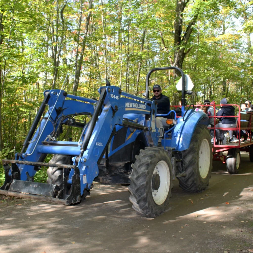 Fall Wagon Rides at Terra Cotta Conservation Area