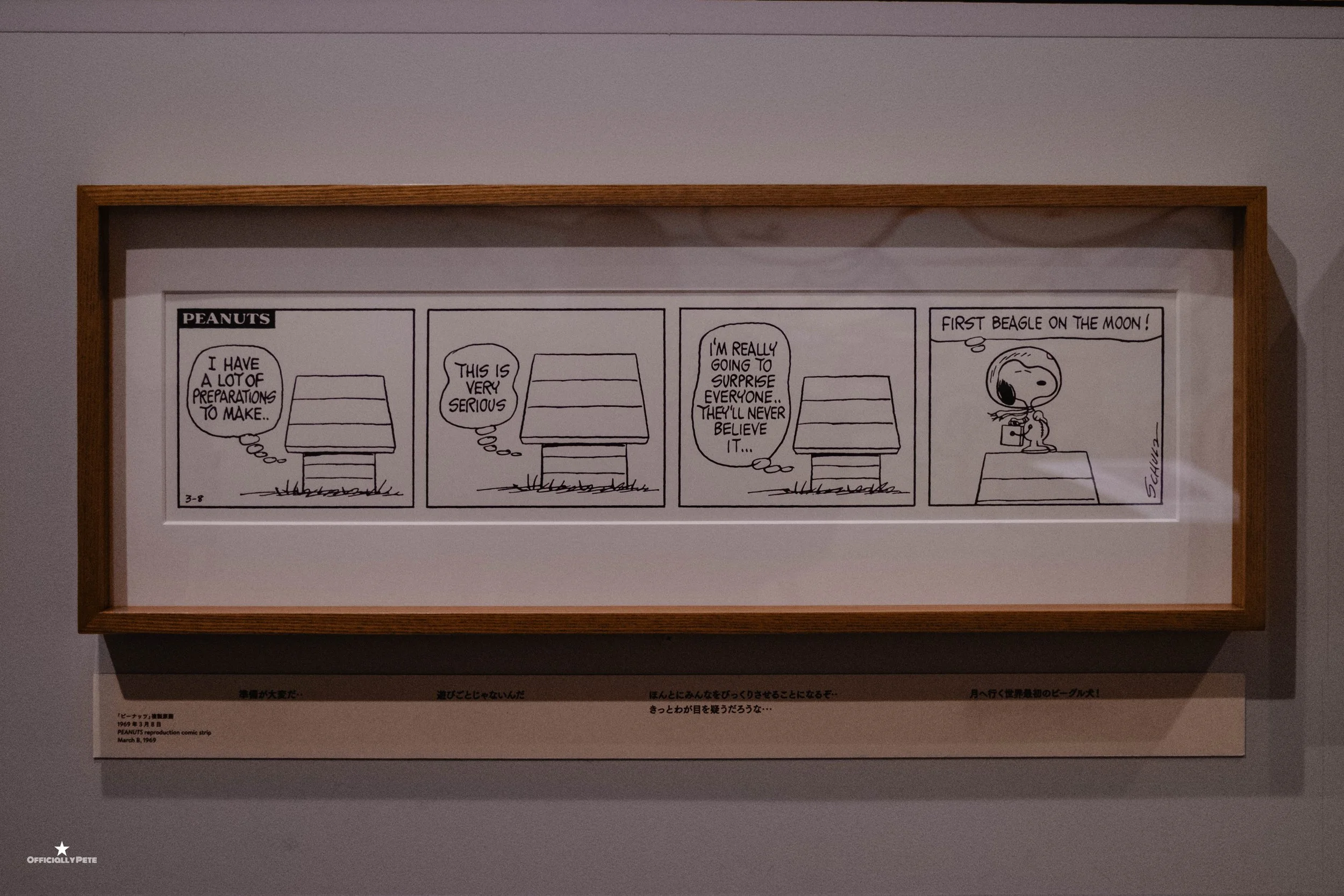 DSCF0740.jpg