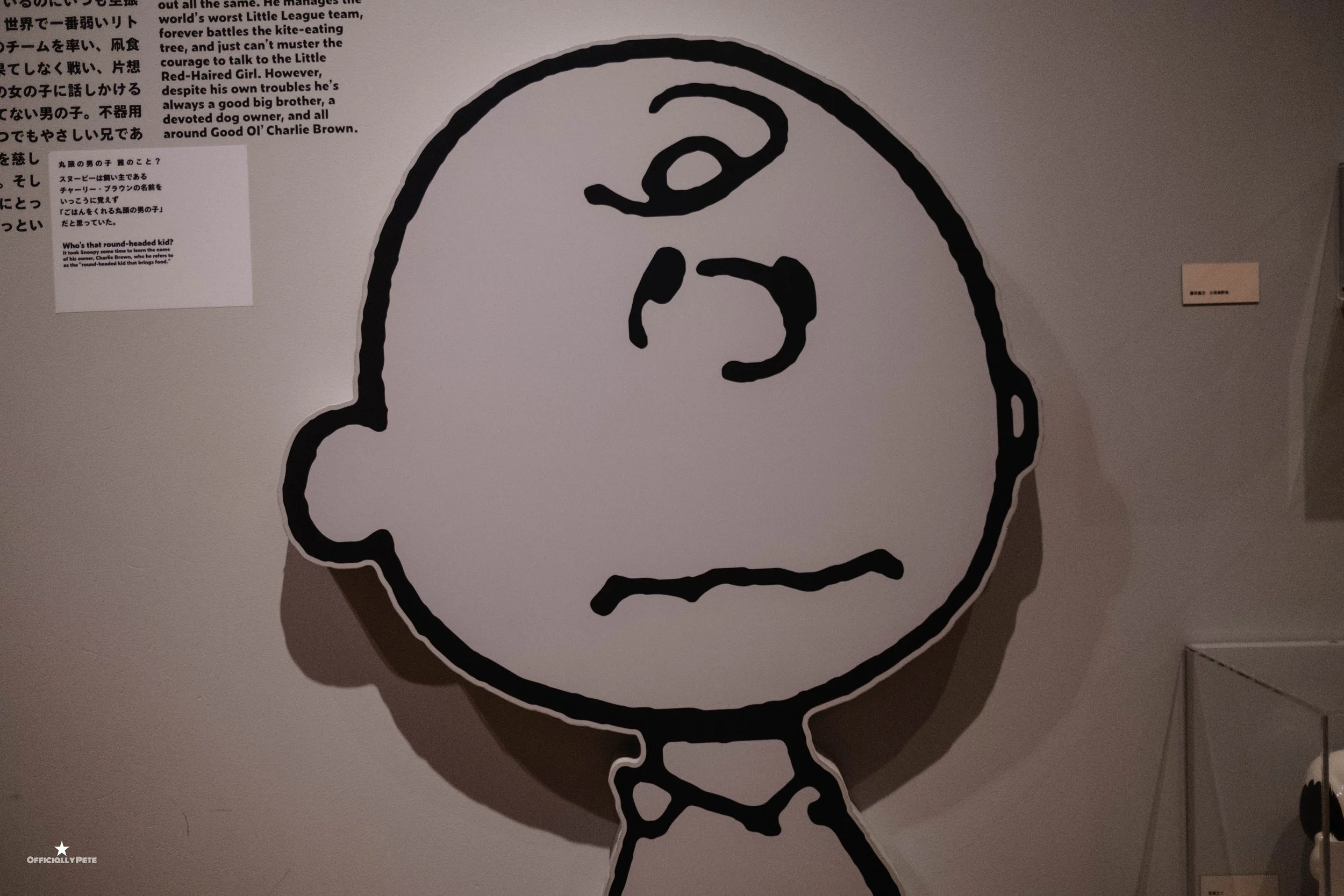 DSCF0761.jpg