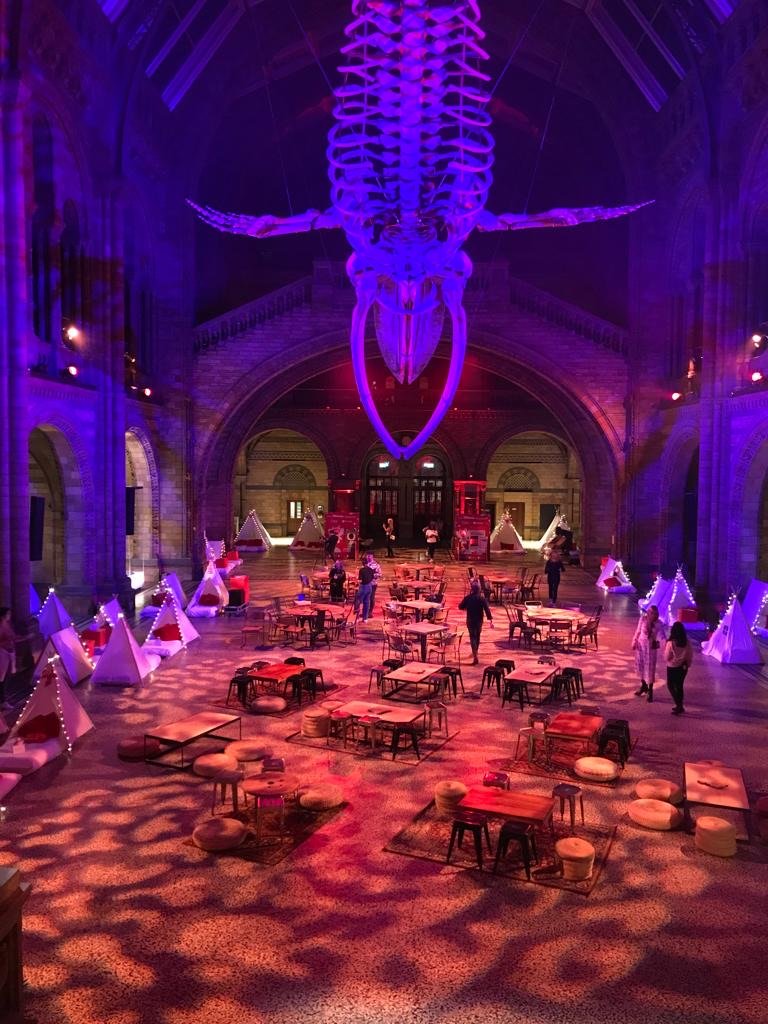 Natural history museum sleepover