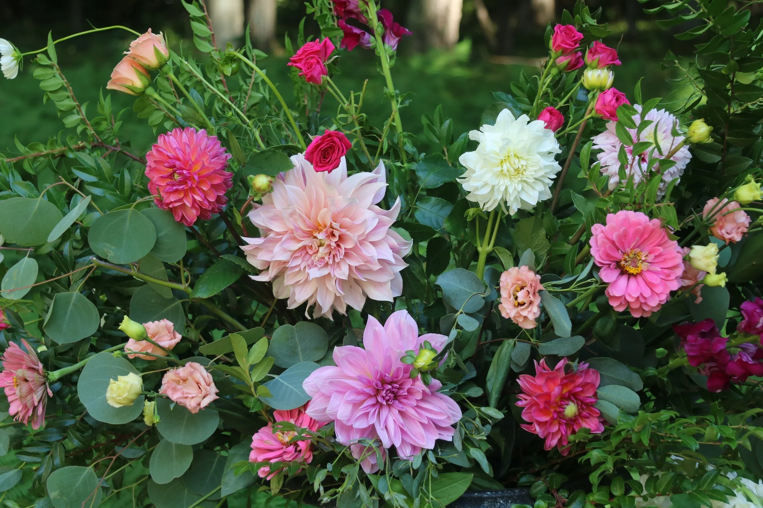 Flower Beds Bloom Bliss