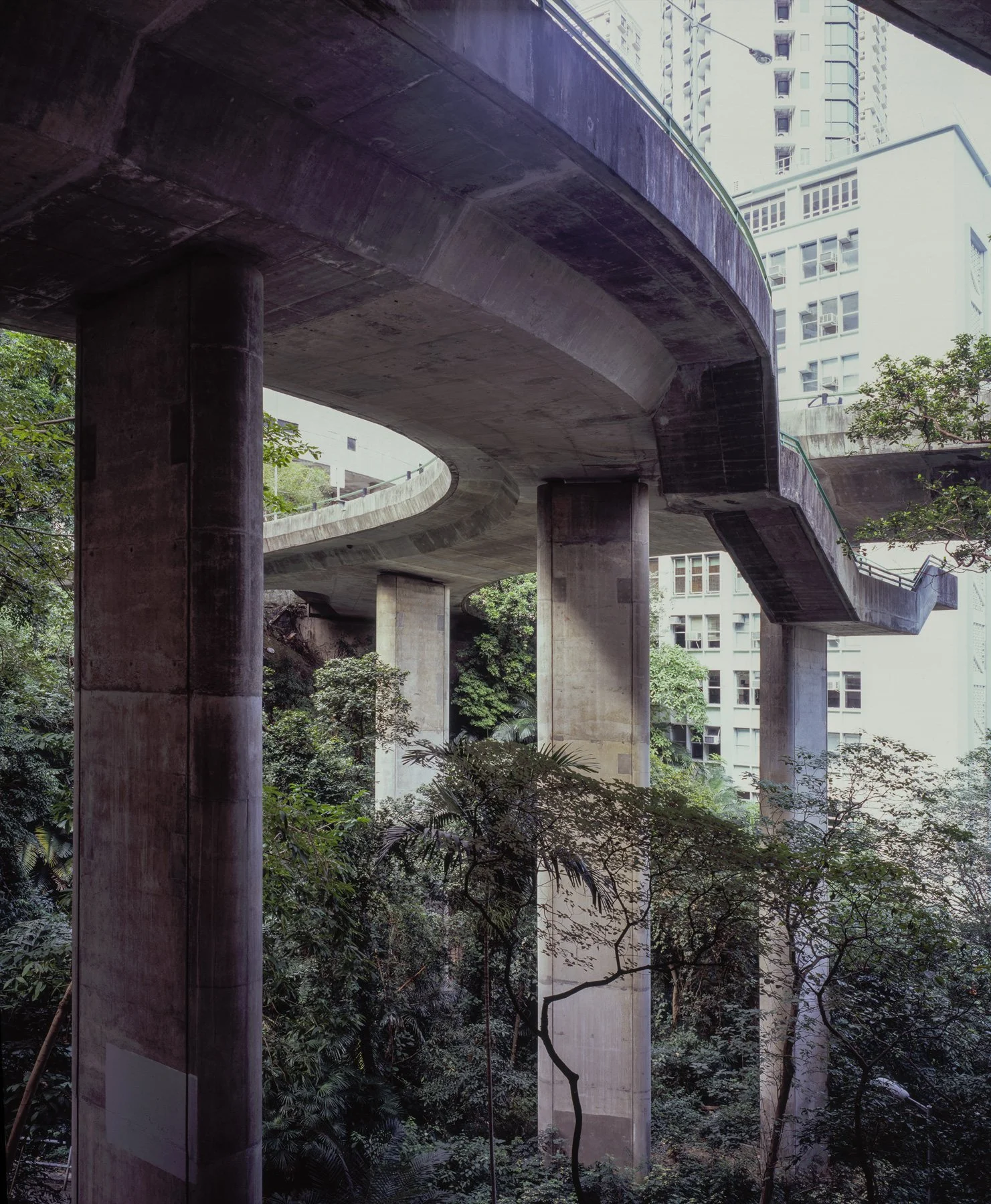 210110_HK-BRIDGES-03-Low-New-.jpg
