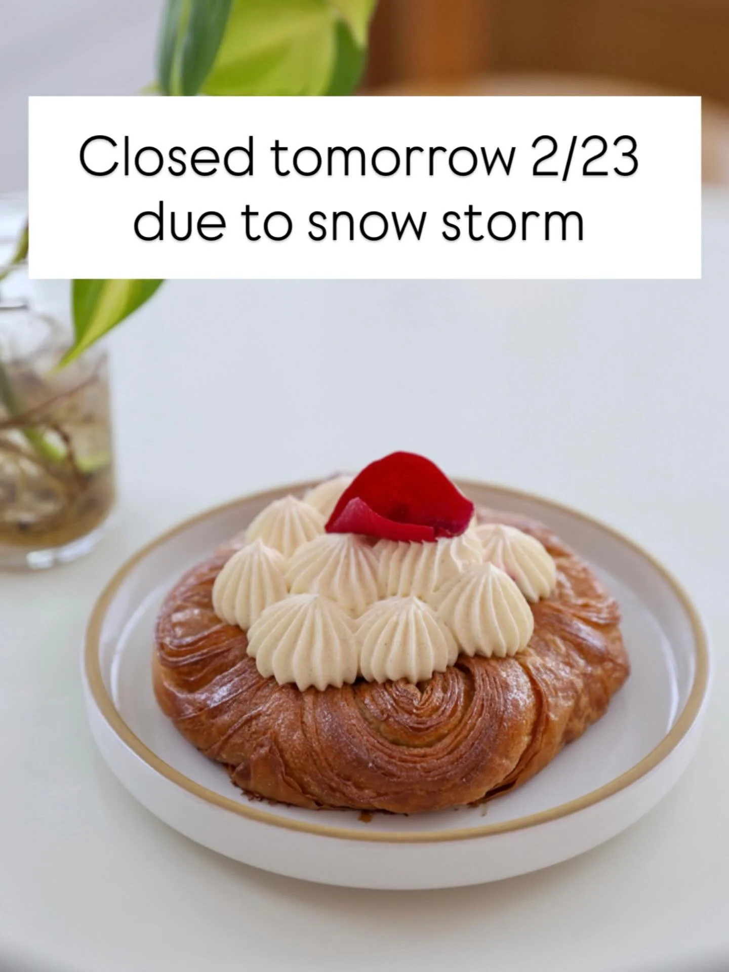 Hey folks!

We really can&rsquo;t win with this snowy weather!  Because the snow will be piled high tomorrow, we will be closed Monday 2/23, back open on Tuesday. We&rsquo;ll be open until 1pm today and closing early so our employees can get home saf