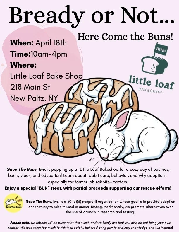 Save The Buns Pop-Up