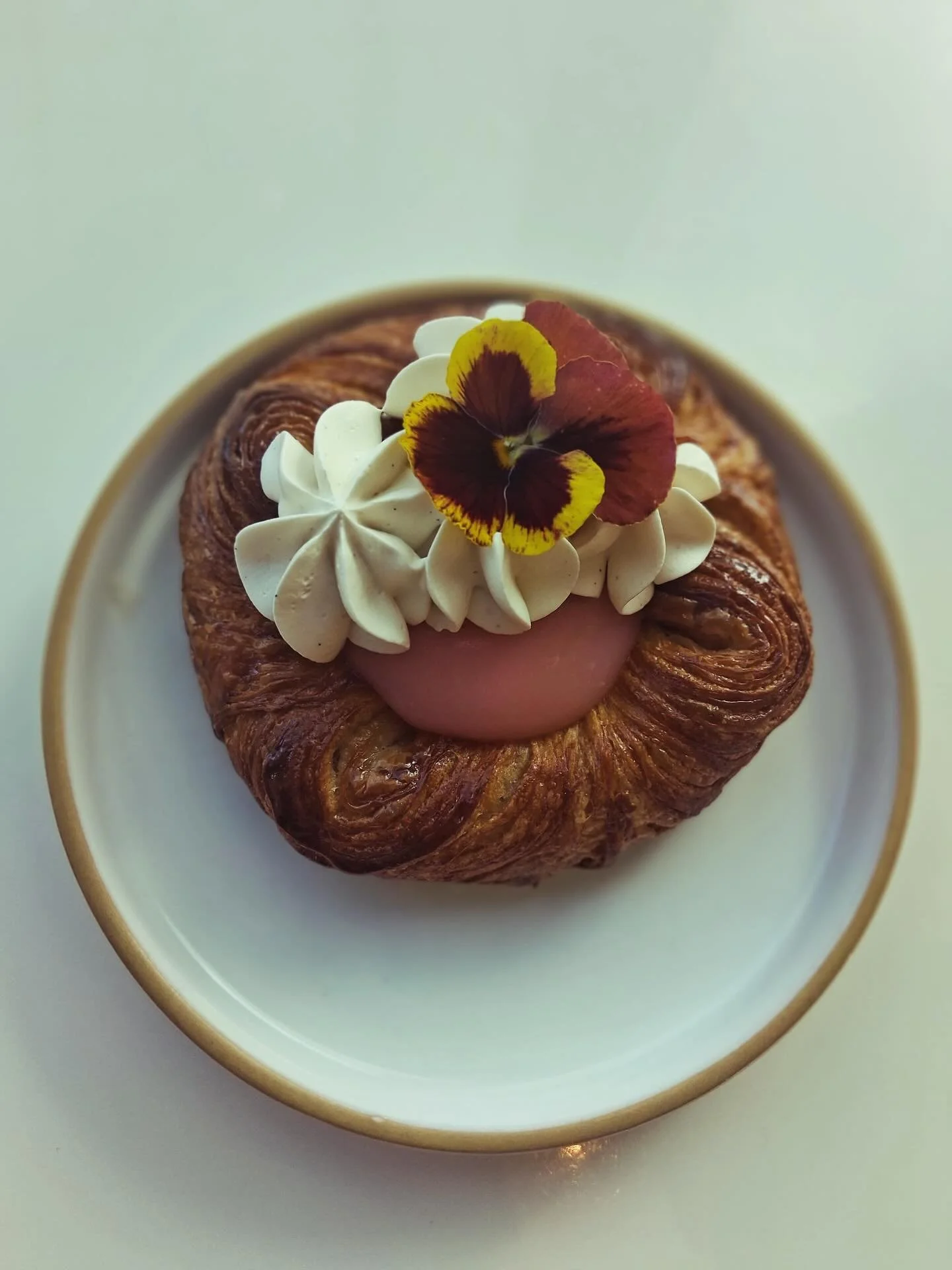 Bready or not, here come the bun buns! 🐰🐰. Join us tomorrow with @save_the_buns for a FREE outdoor event where we will be hosting Save the Buns, an organization dedicated to rescuing rabbits from animal testing laboratories, raising awareness for a