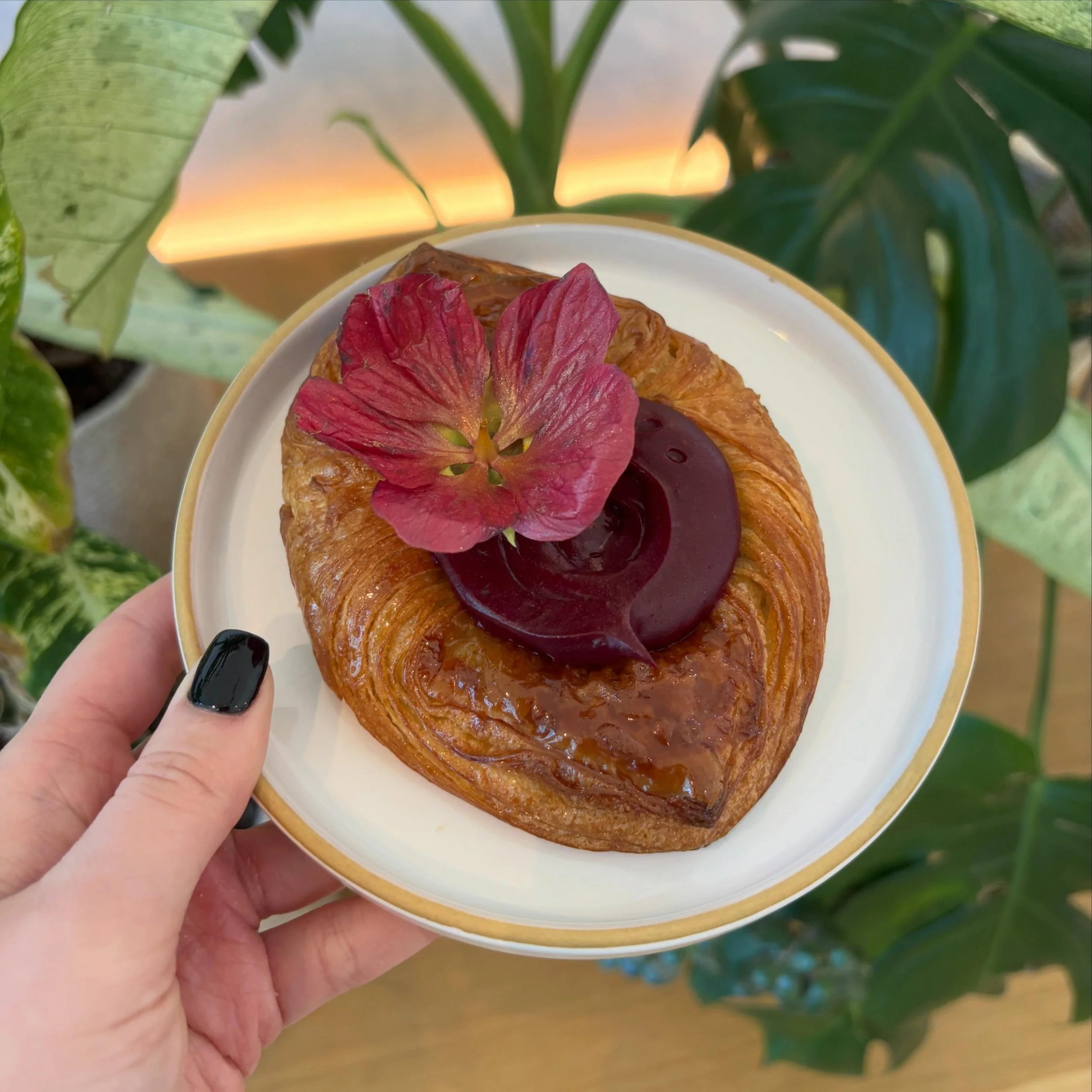 🌸Spring Danish Specials🌸
Come get a taste of spring with these returning danish specials! 
🌺Hibiscus Passionfruit Danish - features passionfruit pastry cream, hibiscus pastry cream and a mini hibiscus flower. This danish is bright from the passion