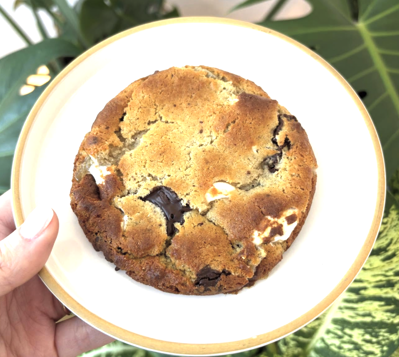 Miso Marshmallow Cookie